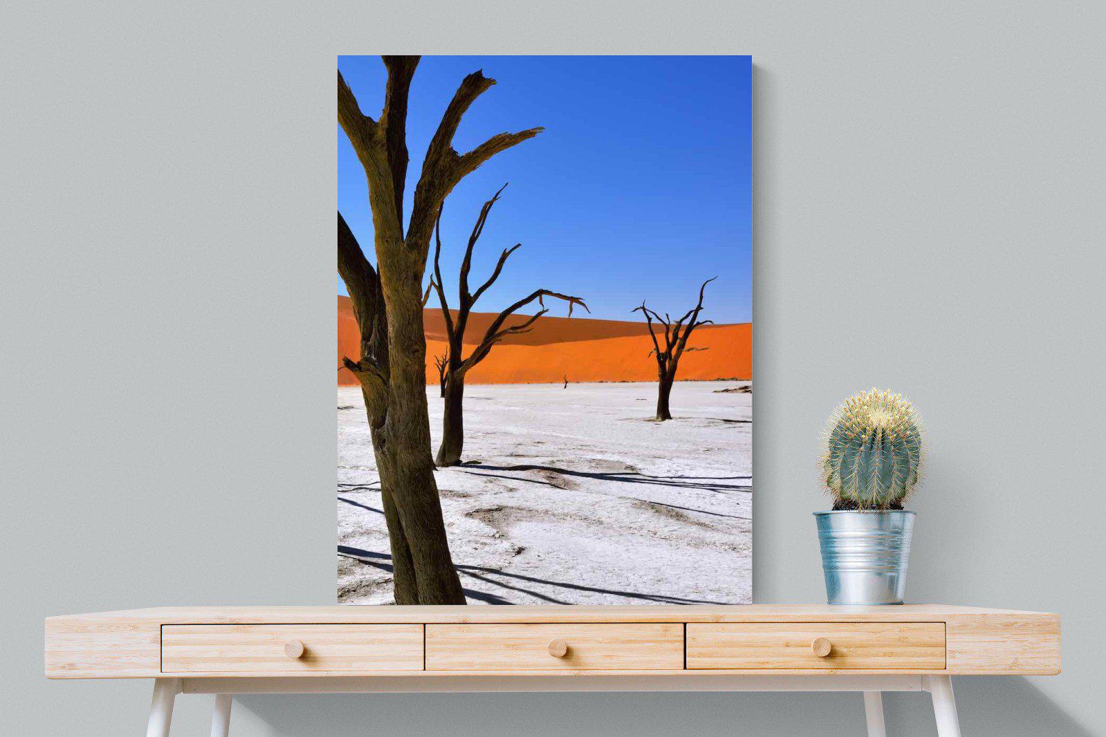 Namib Desert-Wall_Art-75 x 100cm-Mounted Canvas-No Frame-Pixalot