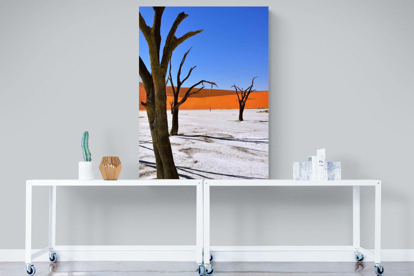 Namib Desert-Wall_Art-90 x 120cm-Mounted Canvas-No Frame-Pixalot