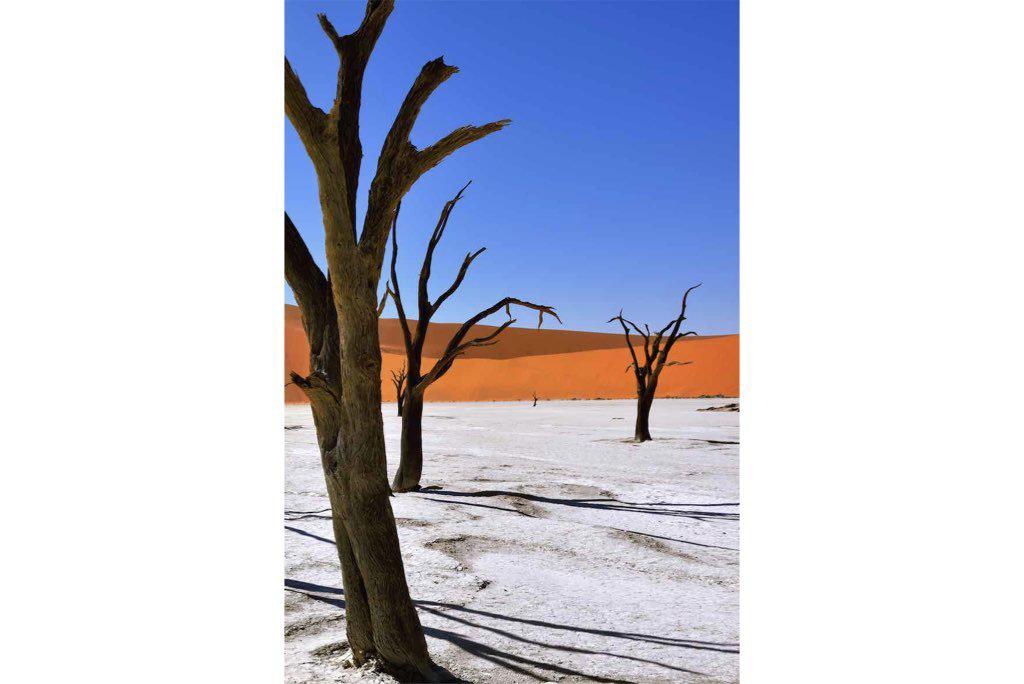 Namib Desert-Wall_Art-Pixalot