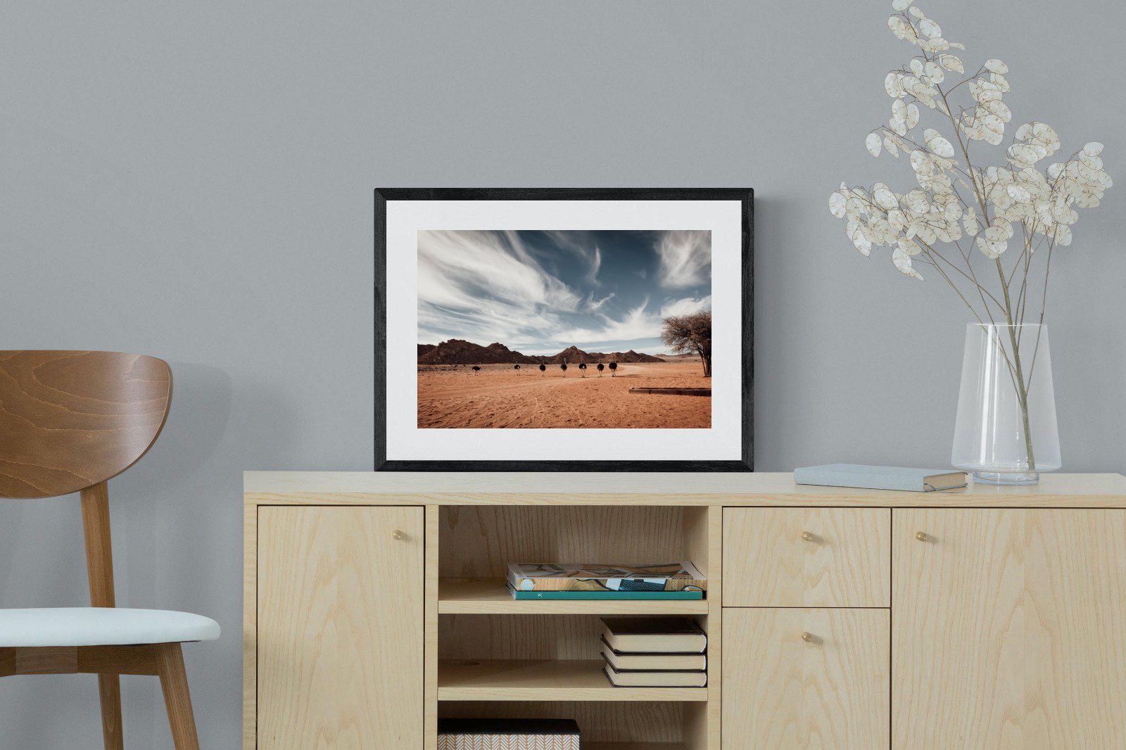 Namibian Ostrich-Wall_Art-60 x 45cm-Framed Print-Black-Pixalot
