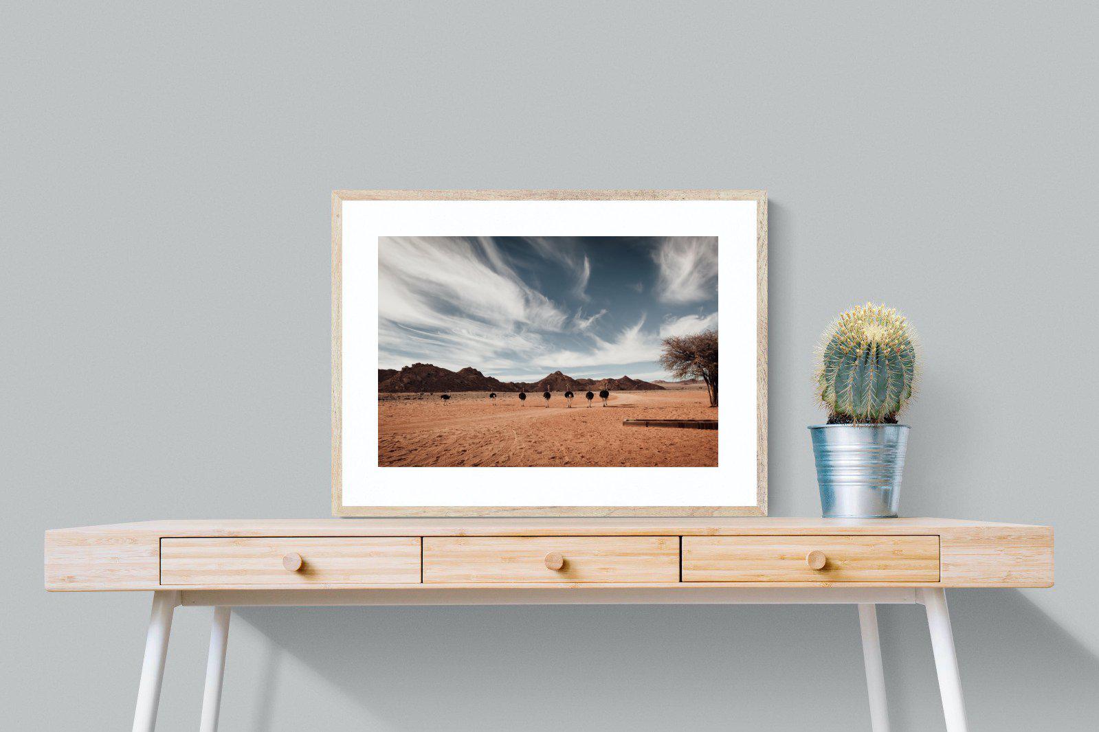 Namibian Ostrich-Wall_Art-80 x 60cm-Framed Print-Wood-Pixalot