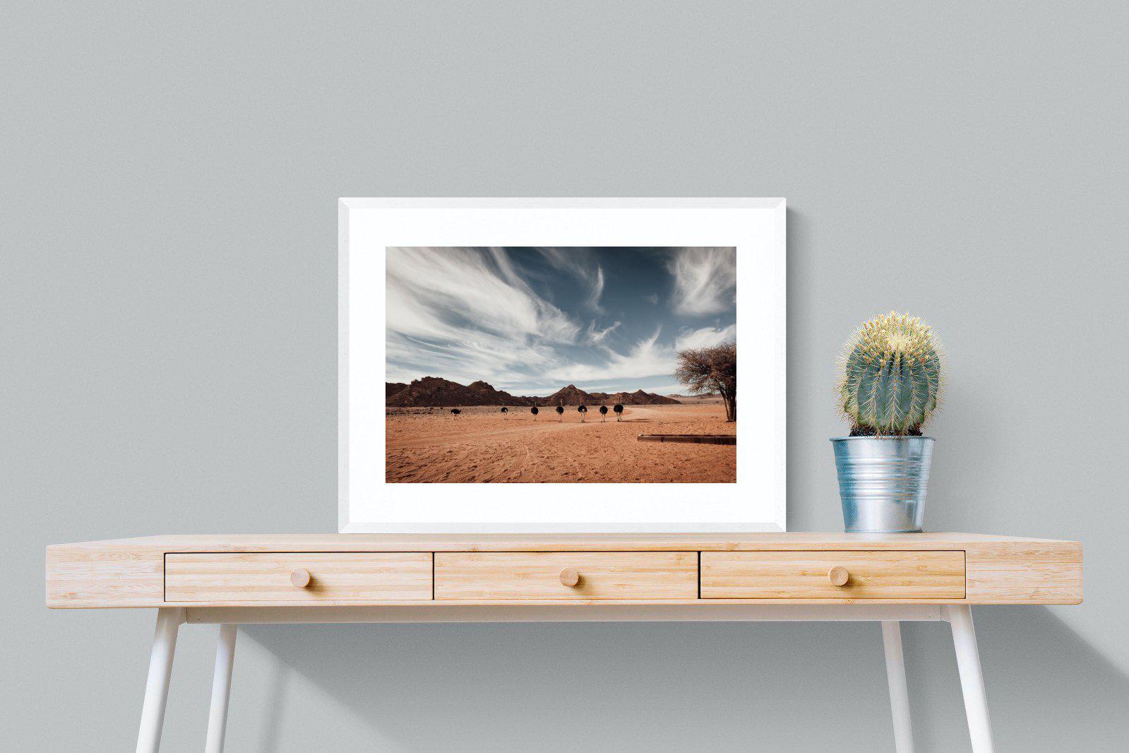 Namibian Ostrich-Wall_Art-80 x 60cm-Framed Print-White-Pixalot