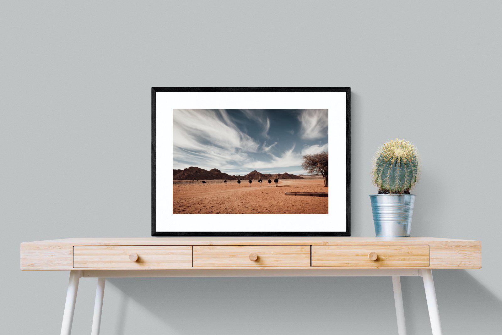 Namibian Ostrich-Wall_Art-80 x 60cm-Framed Print-Black-Pixalot