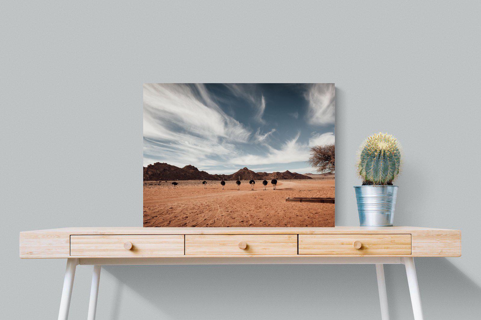 Namibian Ostrich-Wall_Art-80 x 60cm-Mounted Canvas-No Frame-Pixalot