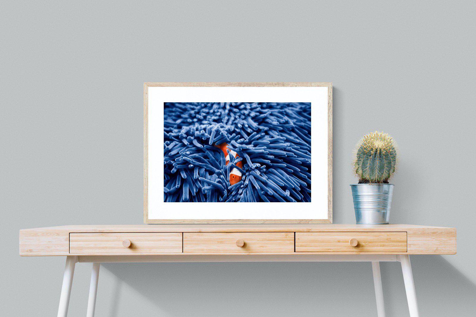 Nemo-Wall_Art-80 x 60cm-Framed Print-Wood-Pixalot