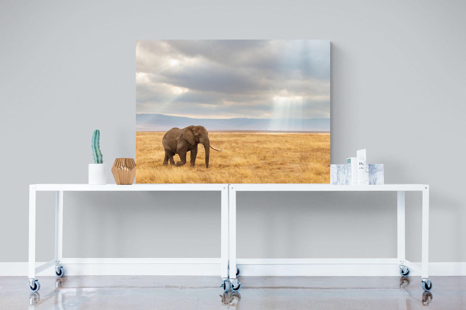 Ngorongoro Ele-Wall_Art-120 x 90cm-Mounted Canvas-No Frame-Pixalot