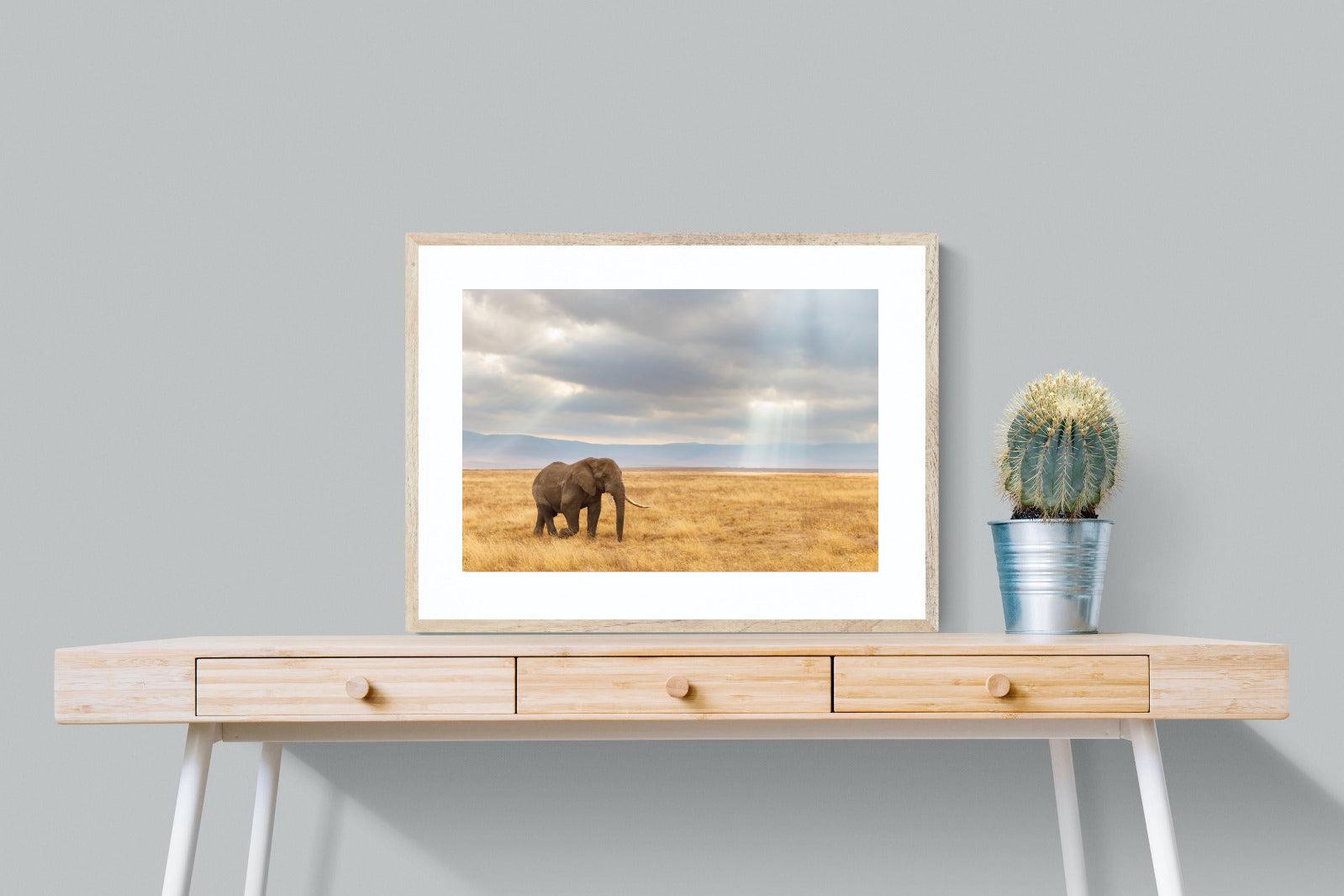 Ngorongoro Ele-Wall_Art-80 x 60cm-Framed Print-Wood-Pixalot