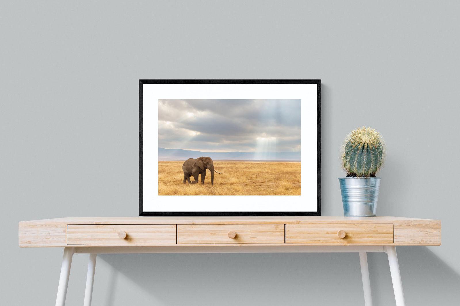Ngorongoro Ele-Wall_Art-80 x 60cm-Framed Print-Black-Pixalot