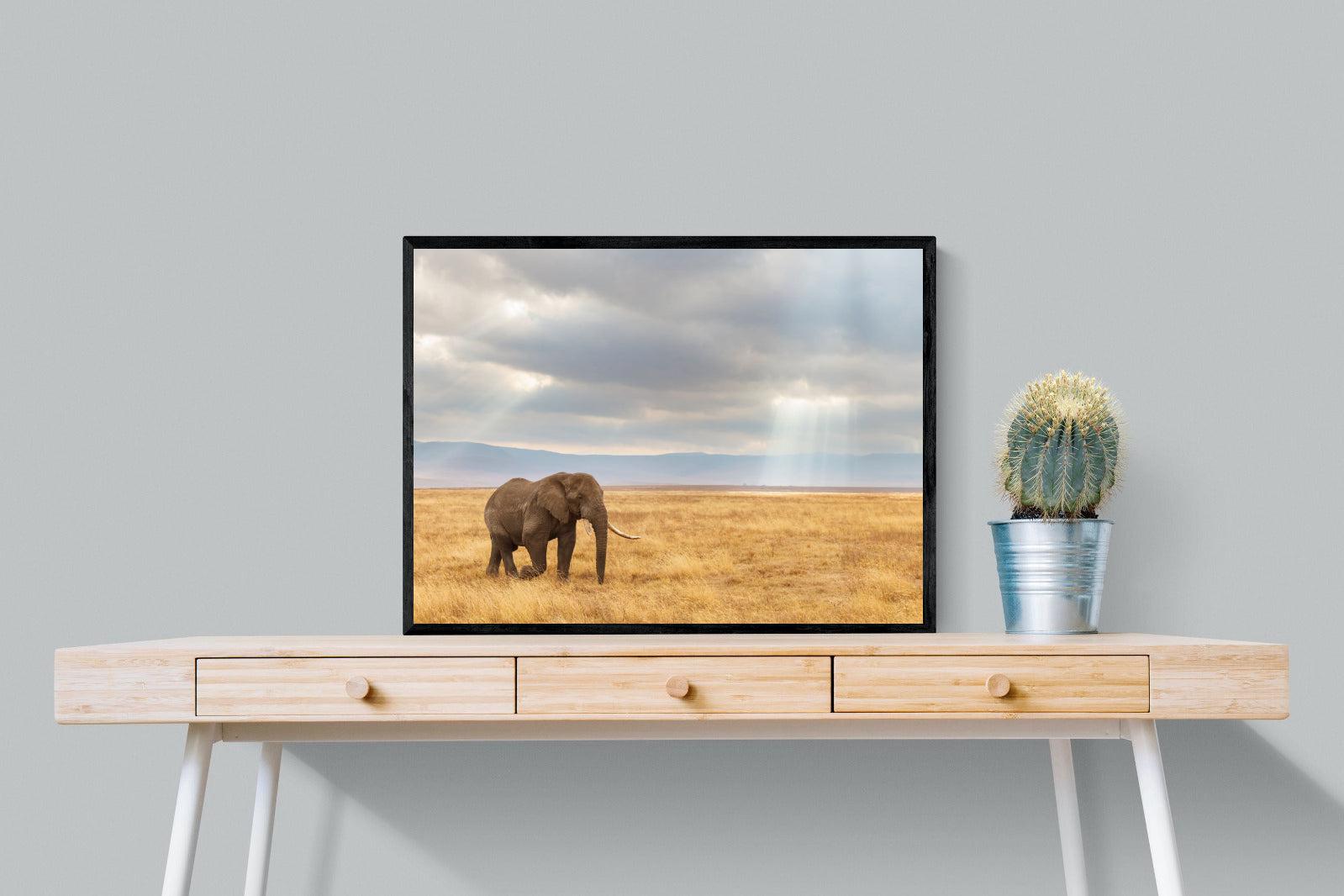 Ngorongoro Ele-Wall_Art-80 x 60cm-Mounted Canvas-Black-Pixalot