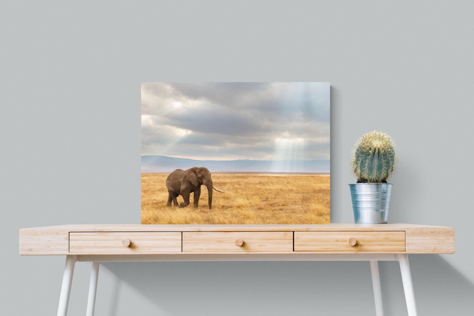 Ngorongoro Ele-Wall_Art-80 x 60cm-Mounted Canvas-No Frame-Pixalot