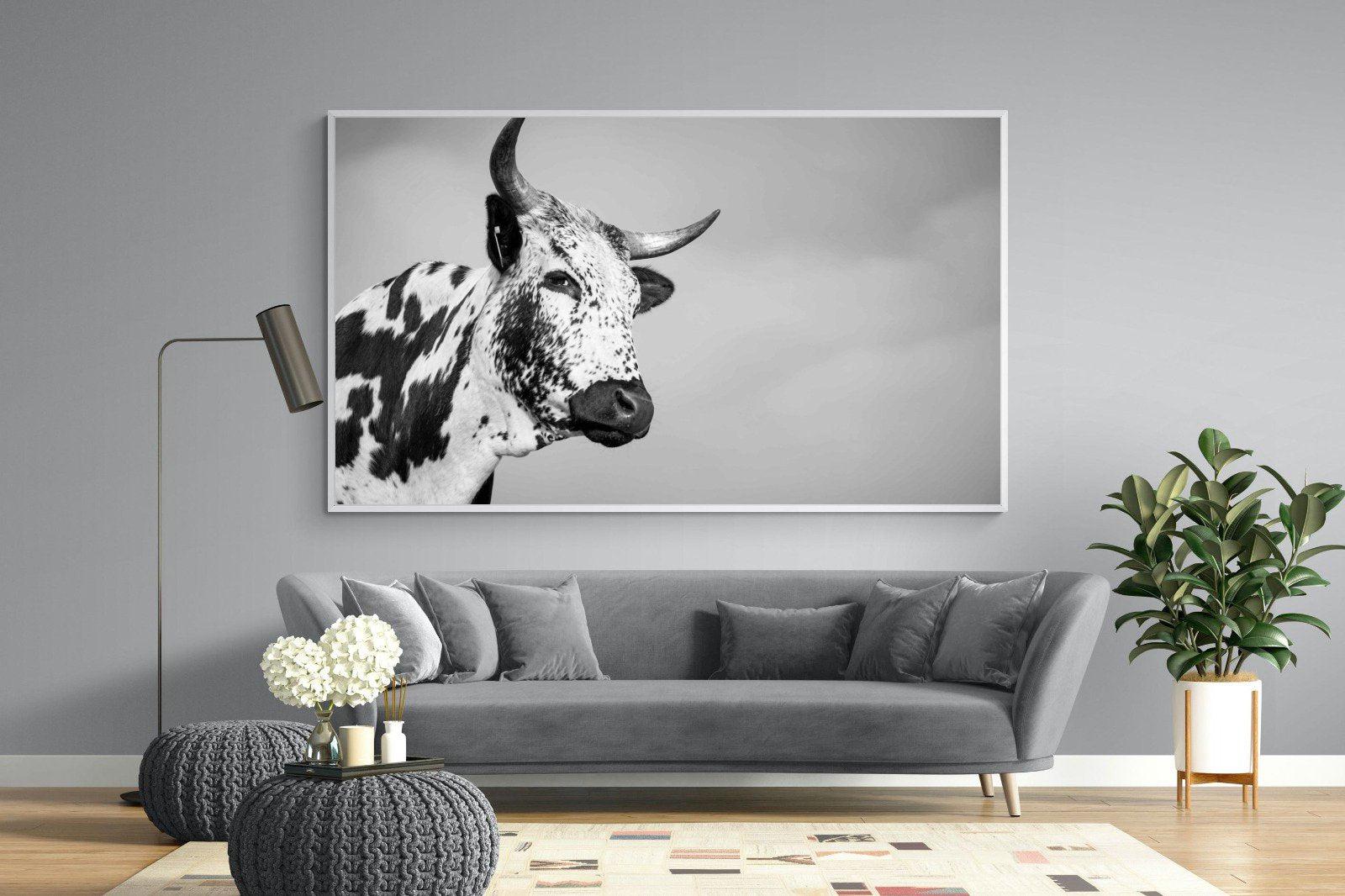 Nguni Bull-Wall_Art-220 x 130cm-Mounted Canvas-White-Pixalot