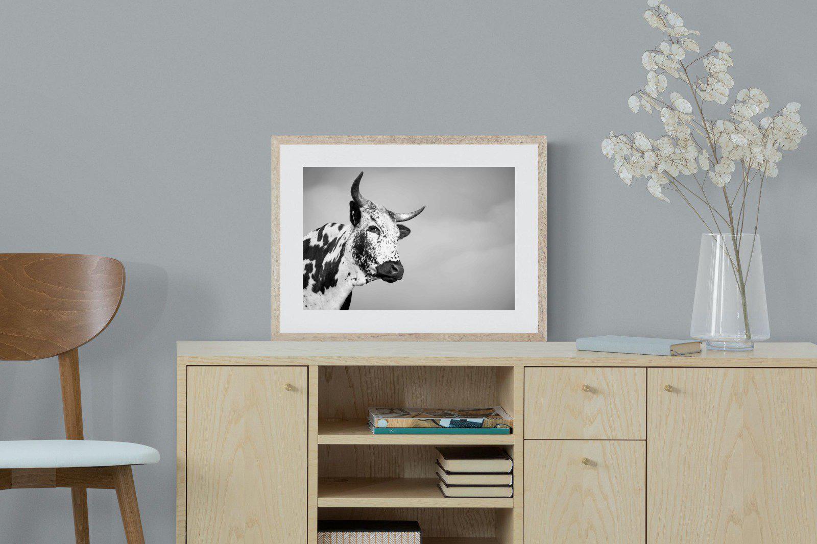 Nguni Bull-Wall_Art-60 x 45cm-Framed Print-Wood-Pixalot