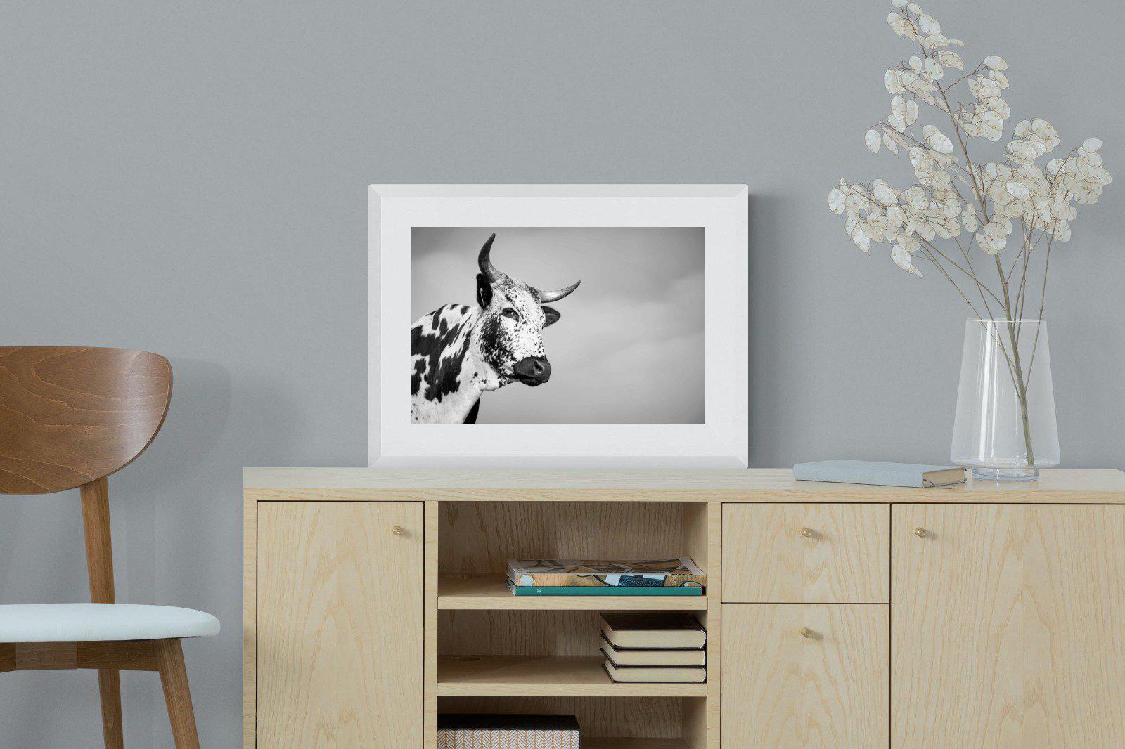 Nguni Bull-Wall_Art-60 x 45cm-Framed Print-White-Pixalot