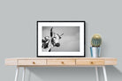Nguni Bull-Wall_Art-80 x 60cm-Framed Print-Black-Pixalot
