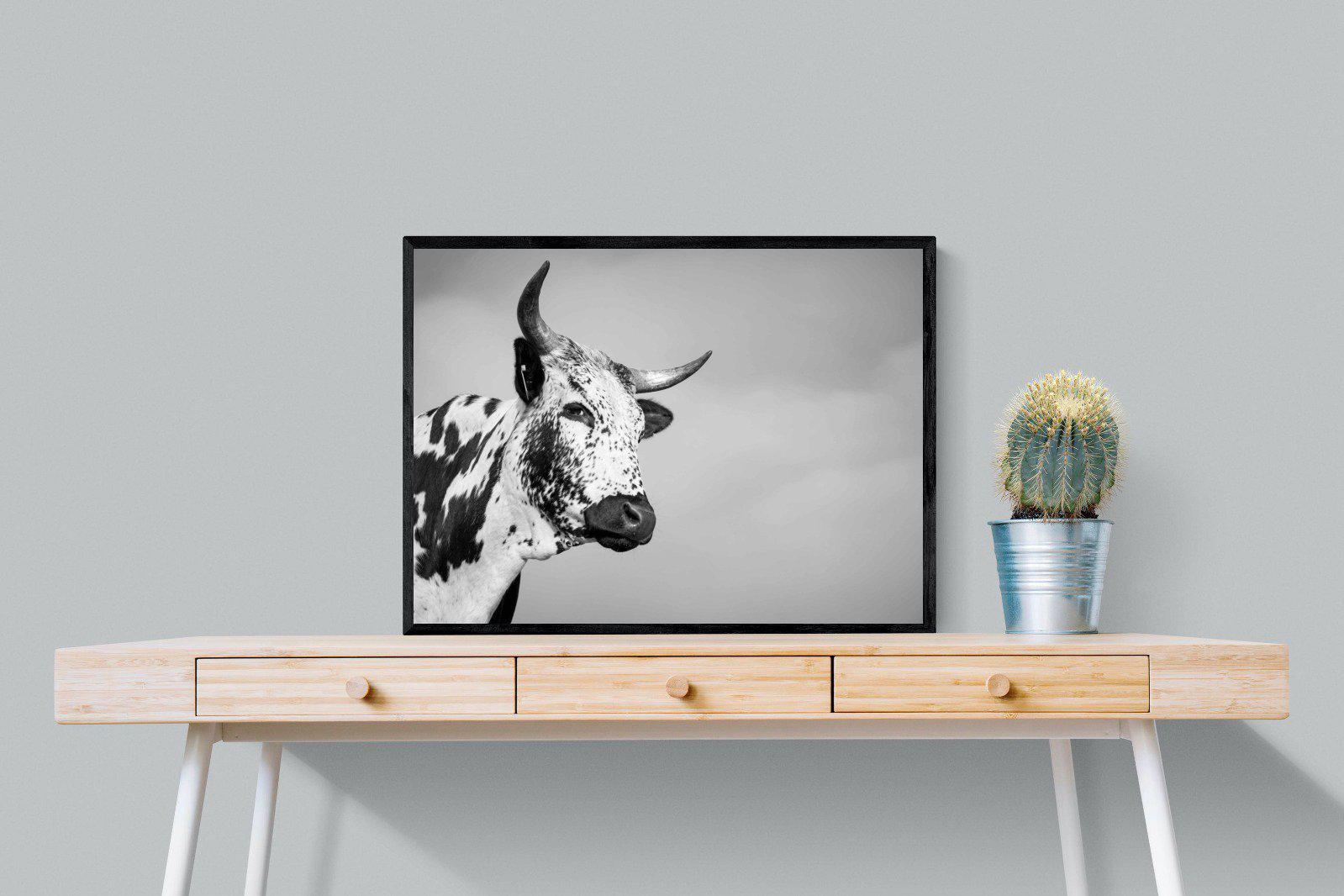 Nguni Bull-Wall_Art-80 x 60cm-Mounted Canvas-Black-Pixalot