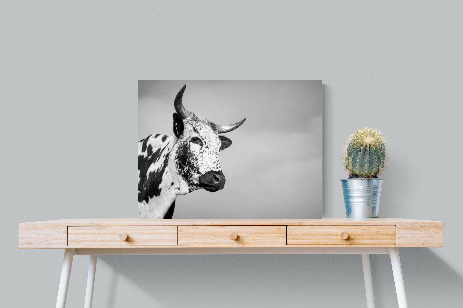 Nguni Bull-Wall_Art-80 x 60cm-Mounted Canvas-No Frame-Pixalot