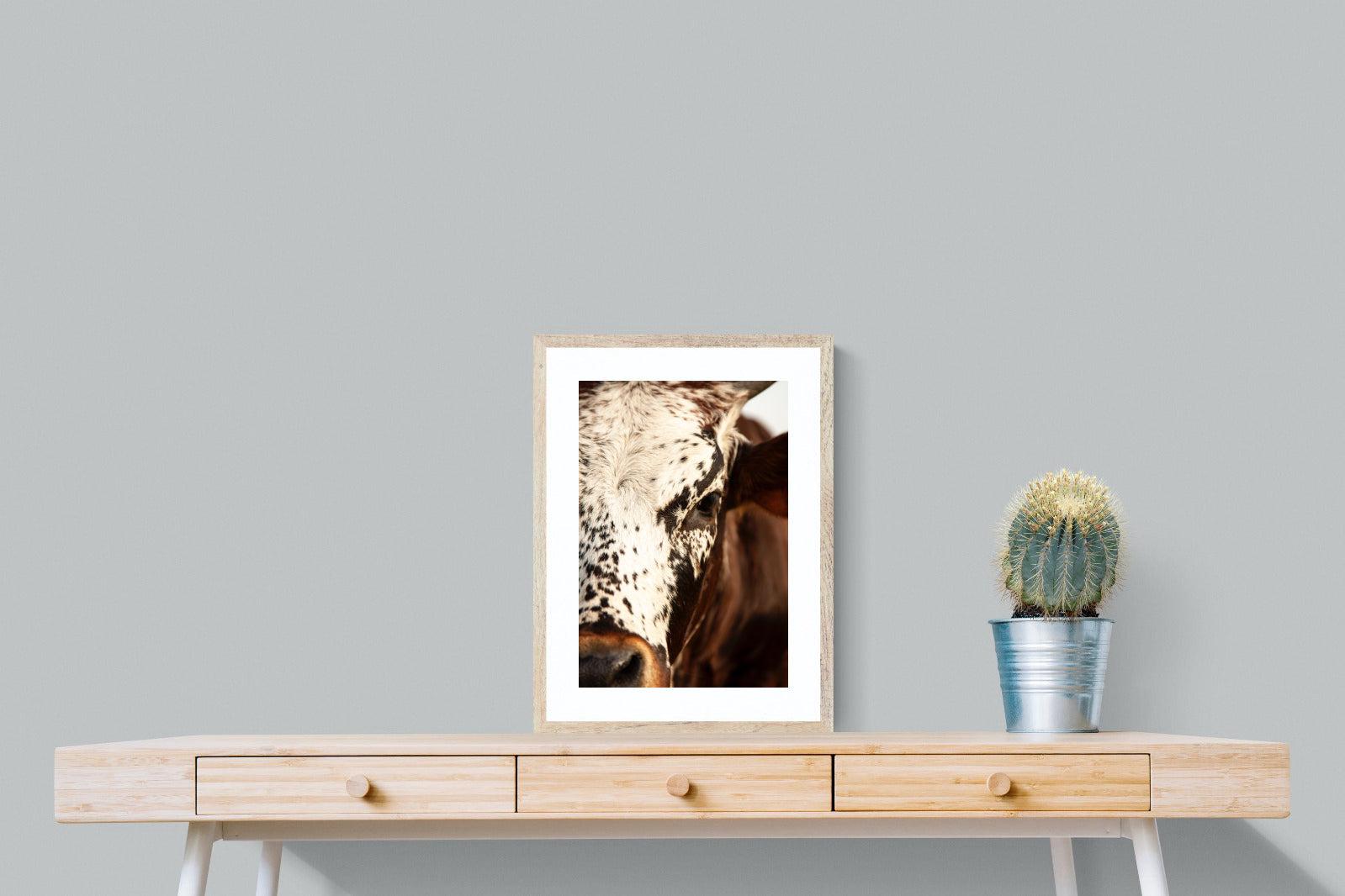 Nguni Close-Wall_Art-45 x 60cm-Framed Print-Wood-Pixalot