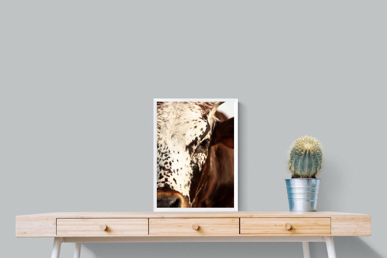 Nguni Close-Wall_Art-45 x 60cm-Mounted Canvas-White-Pixalot