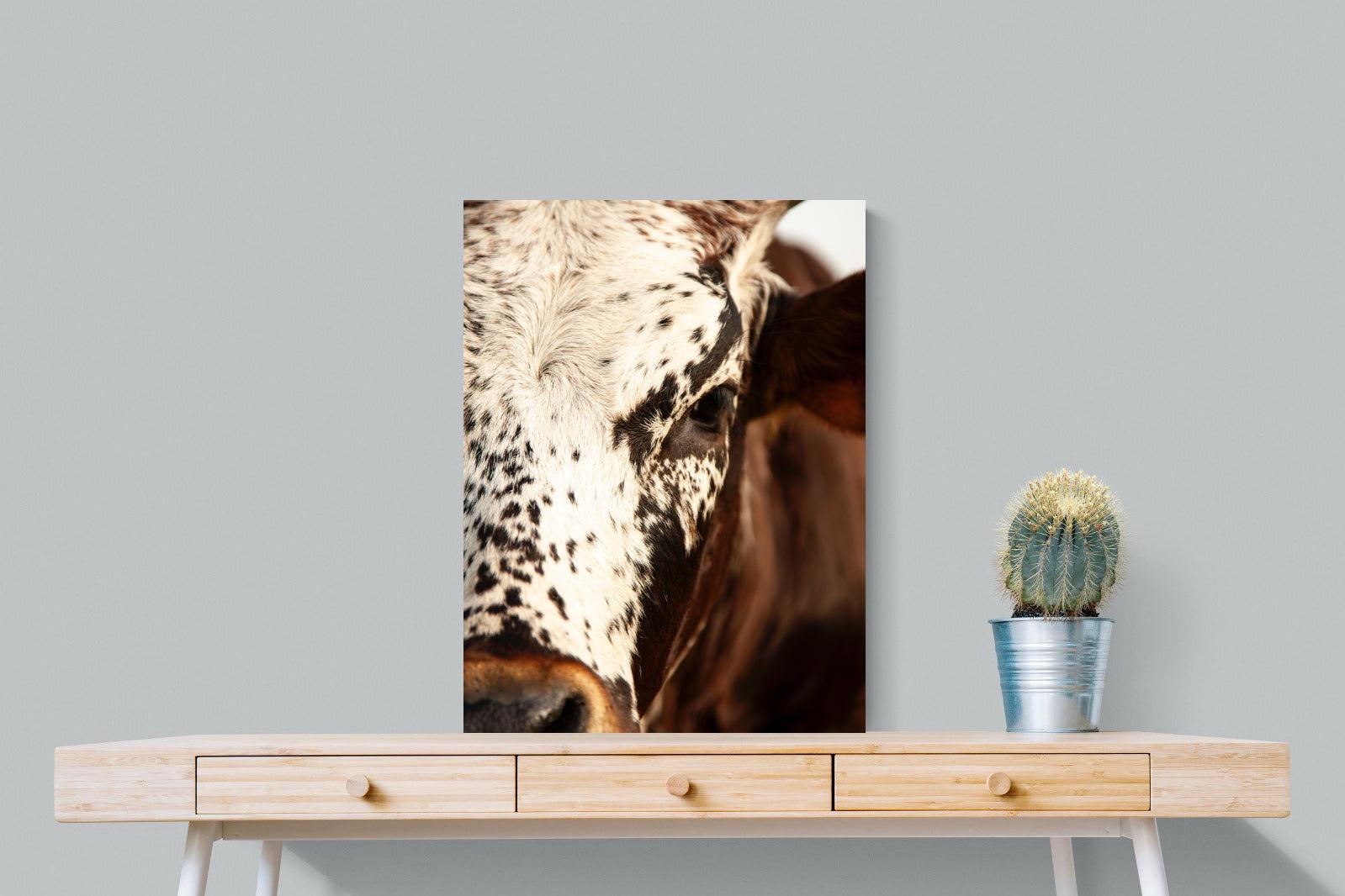 Nguni Close-Wall_Art-60 x 80cm-Mounted Canvas-No Frame-Pixalot