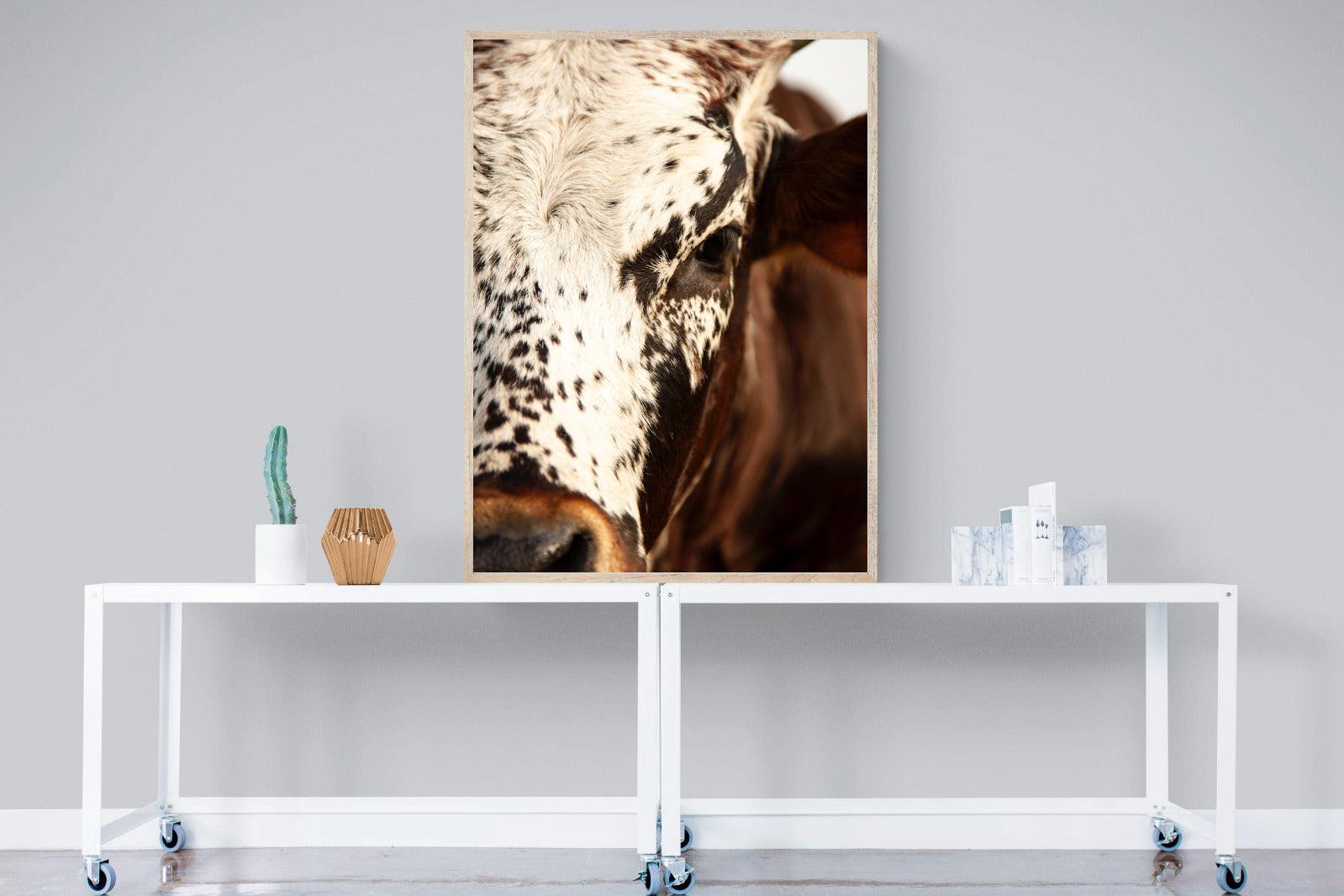Nguni Close-Wall_Art-90 x 120cm-Mounted Canvas-Wood-Pixalot