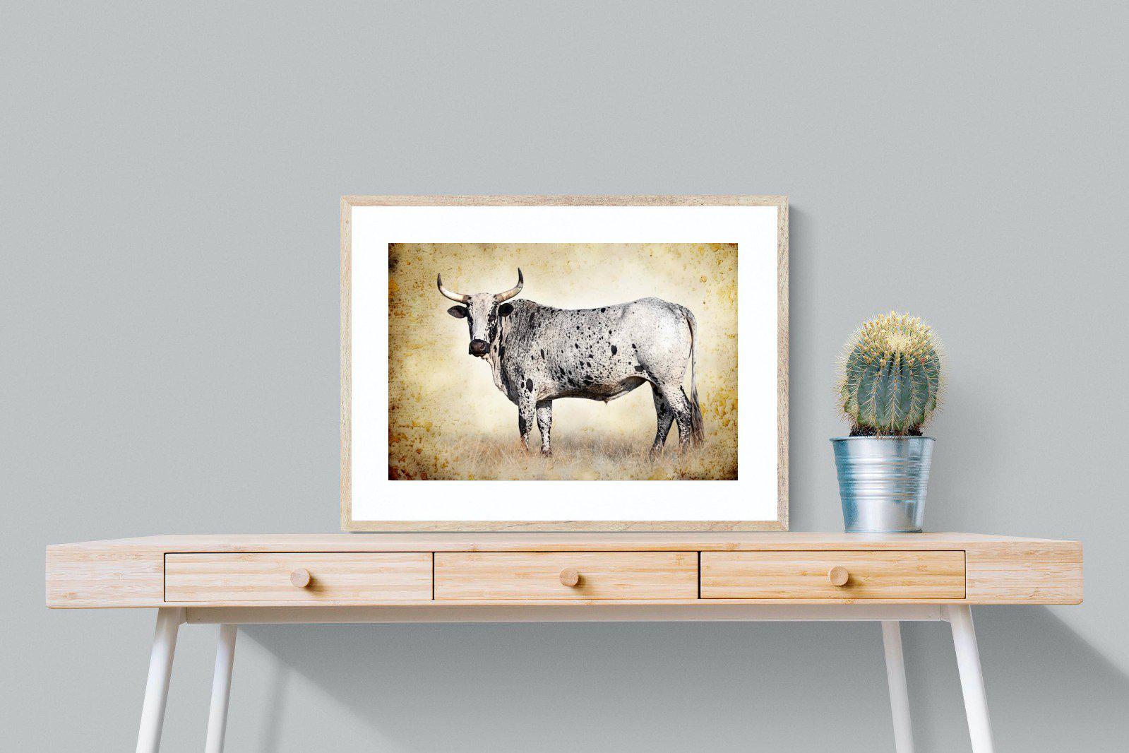 Nguni Ox-Wall_Art-80 x 60cm-Framed Print-Wood-Pixalot