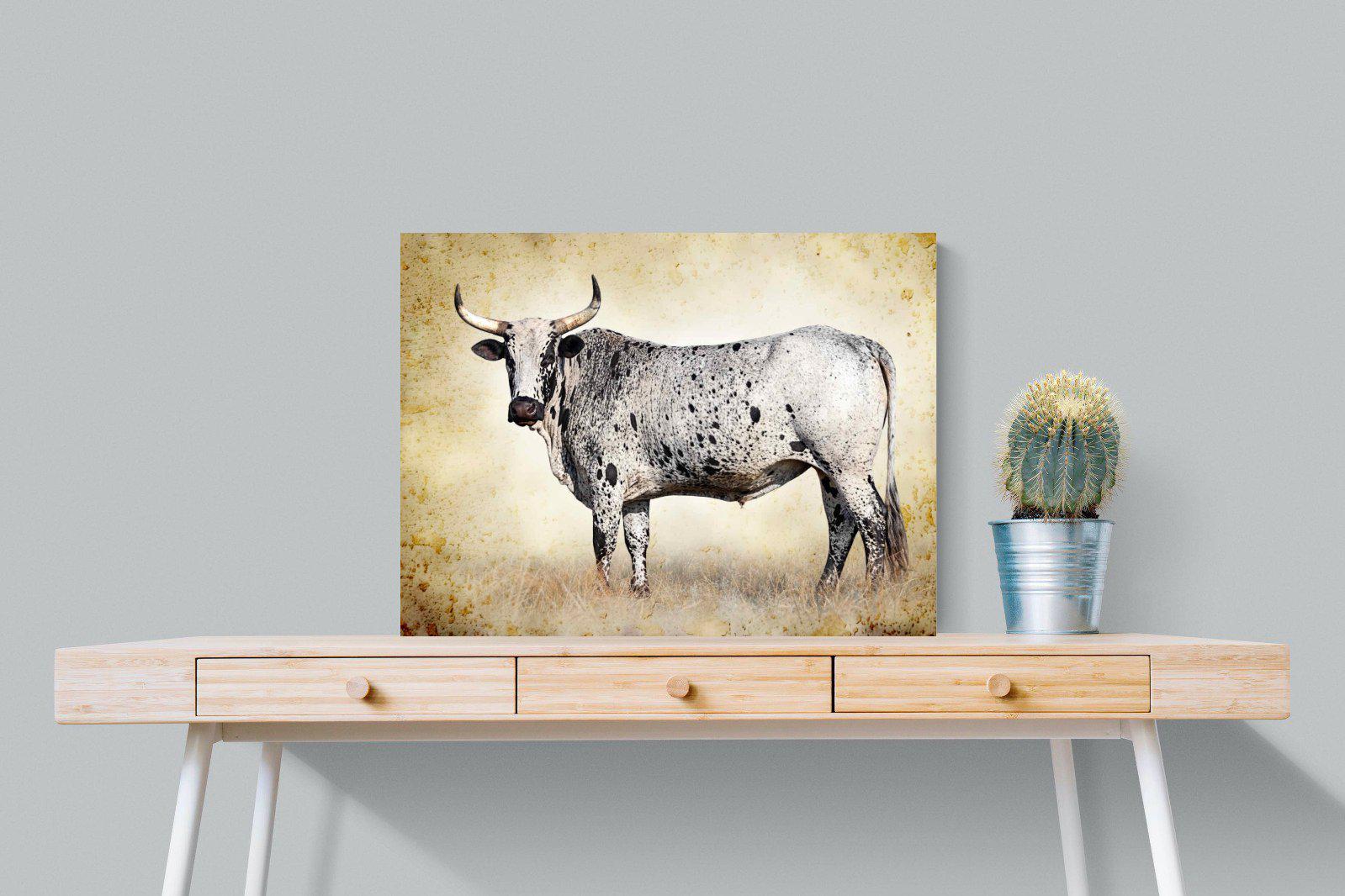 Nguni Ox-Wall_Art-80 x 60cm-Mounted Canvas-No Frame-Pixalot