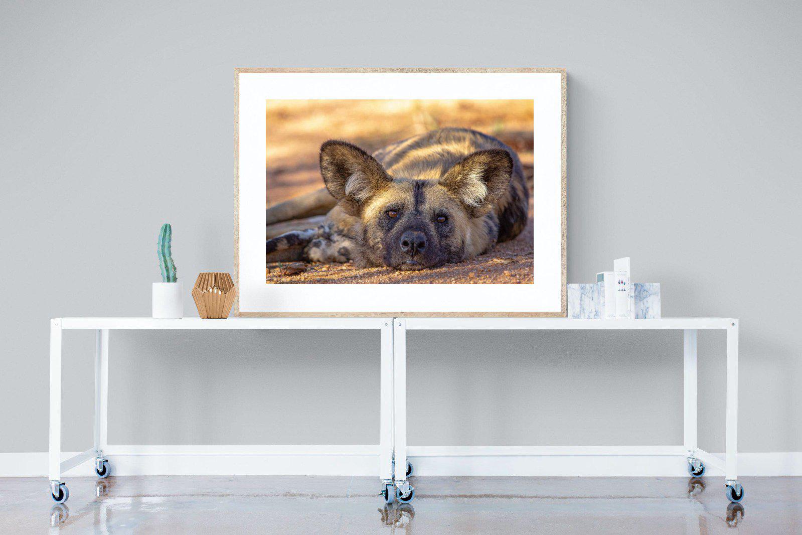Not So Wild Dog-Wall_Art-120 x 90cm-Framed Print-Wood-Pixalot