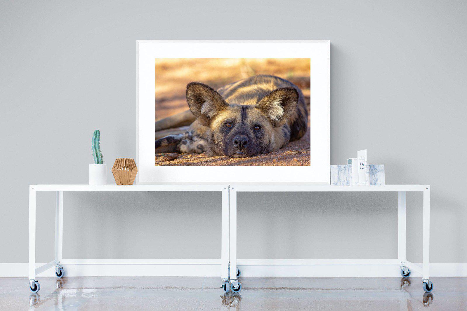 Not So Wild Dog-Wall_Art-120 x 90cm-Framed Print-White-Pixalot