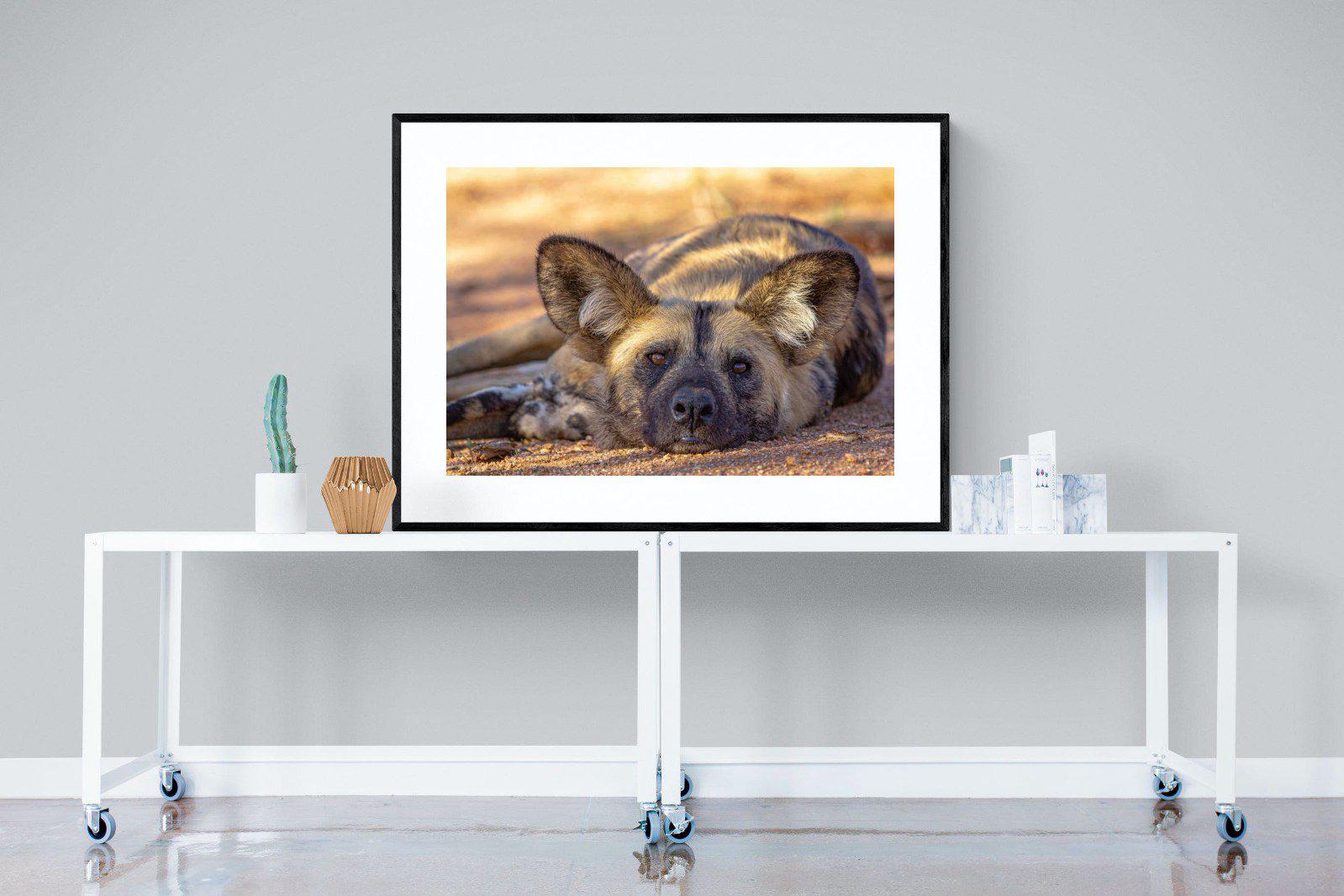 Not So Wild Dog-Wall_Art-120 x 90cm-Framed Print-Black-Pixalot