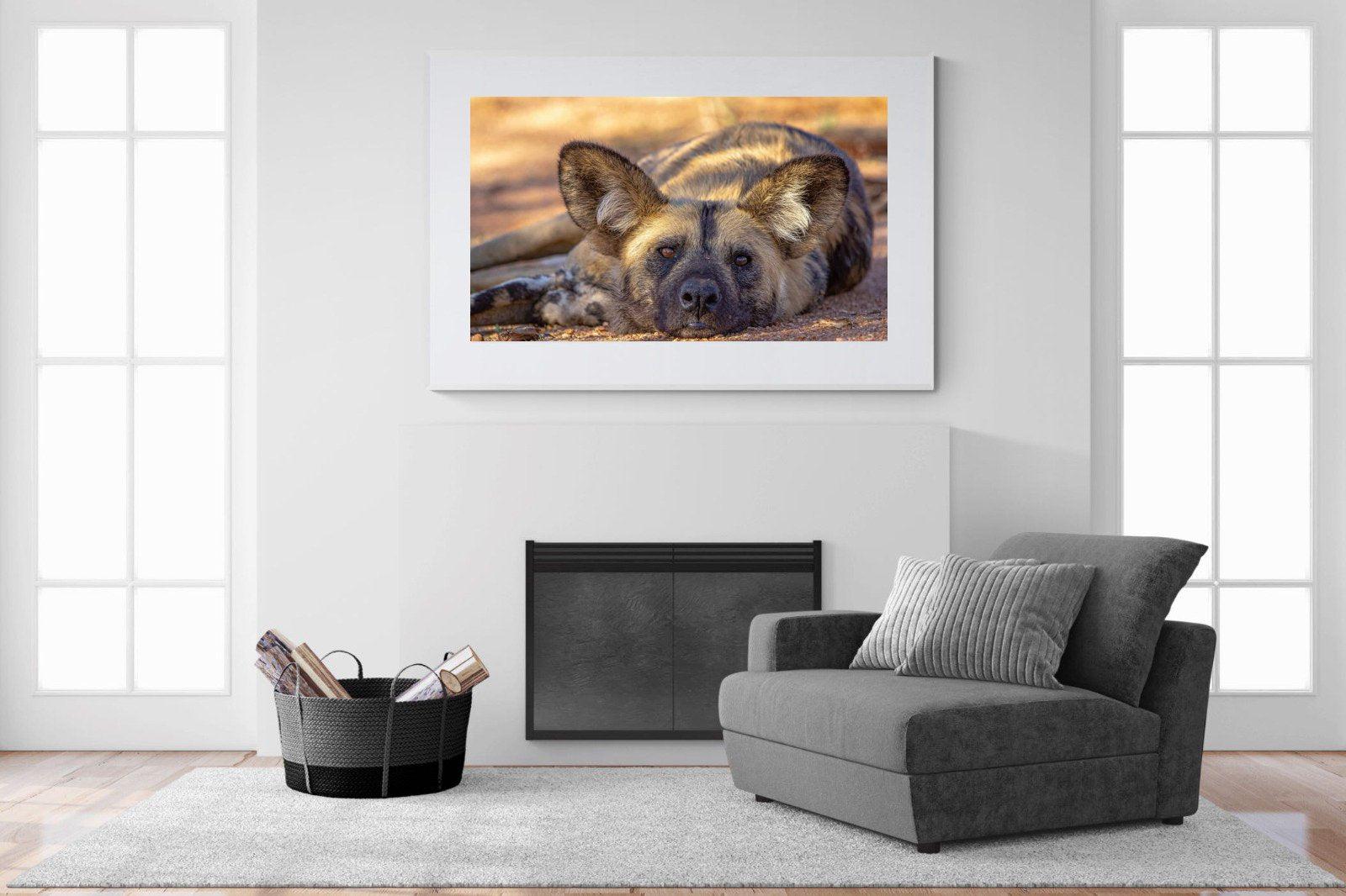 Not So Wild Dog-Wall_Art-150 x 100cm-Framed Print-White-Pixalot