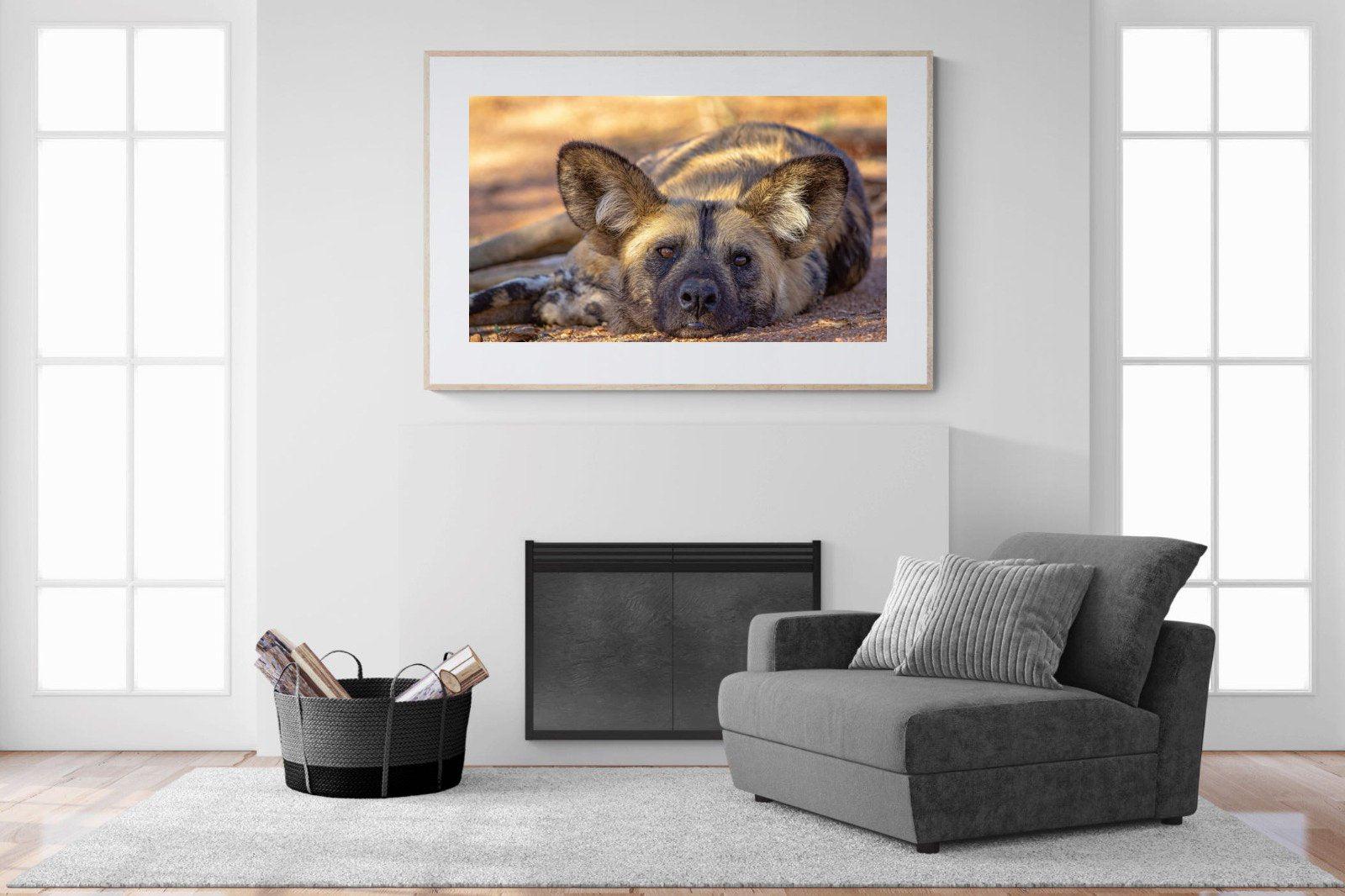 Not So Wild Dog-Wall_Art-150 x 100cm-Framed Print-Wood-Pixalot