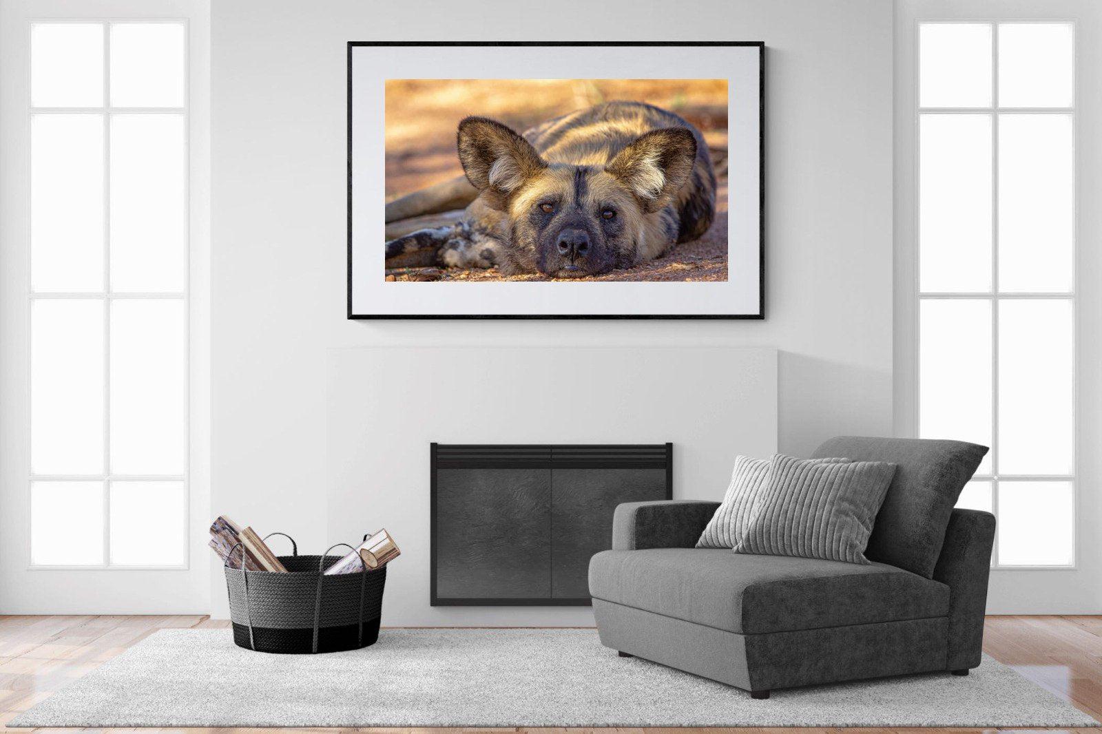 Not So Wild Dog-Wall_Art-150 x 100cm-Framed Print-Black-Pixalot