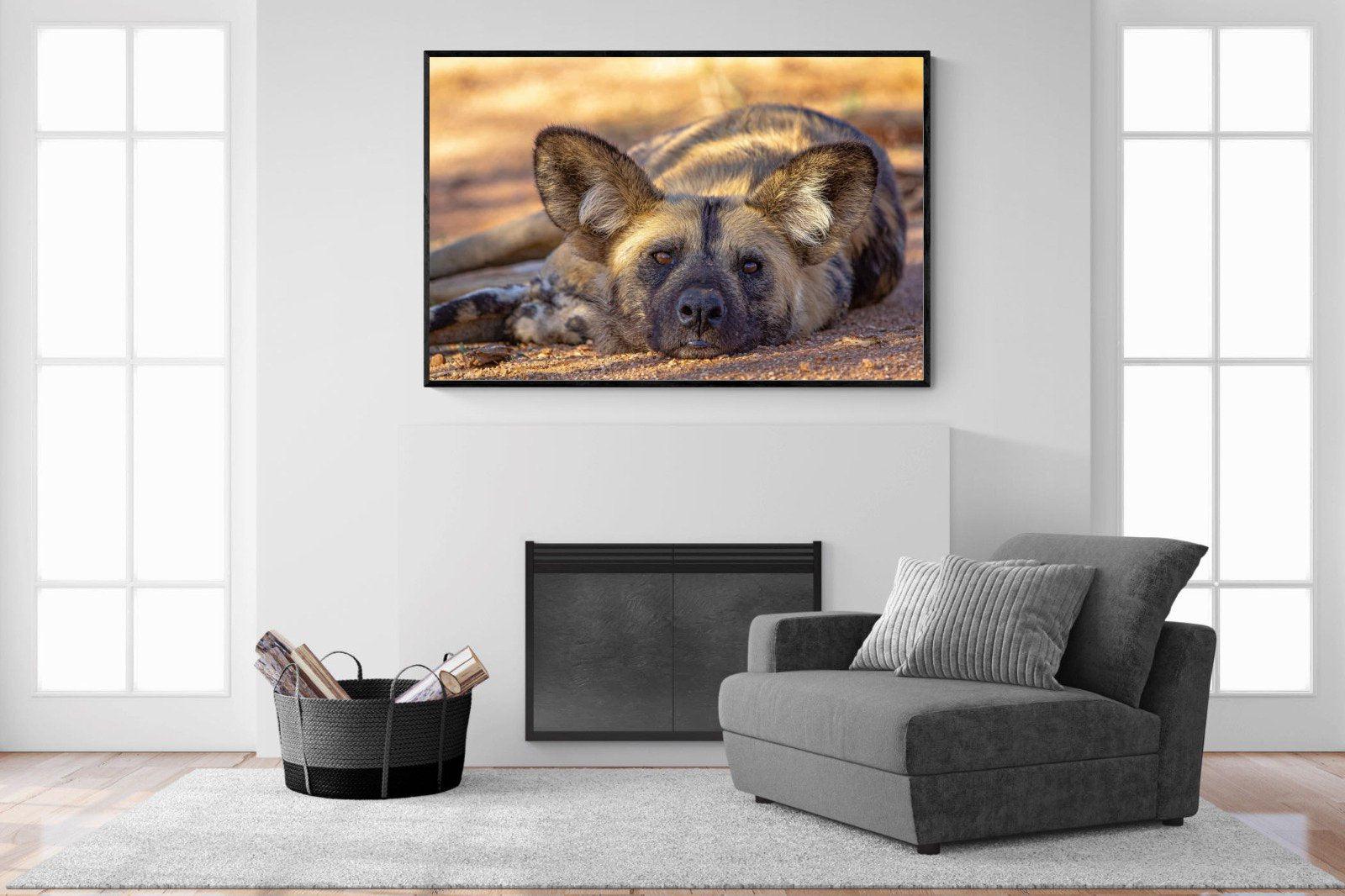 Not So Wild Dog-Wall_Art-150 x 100cm-Mounted Canvas-Black-Pixalot