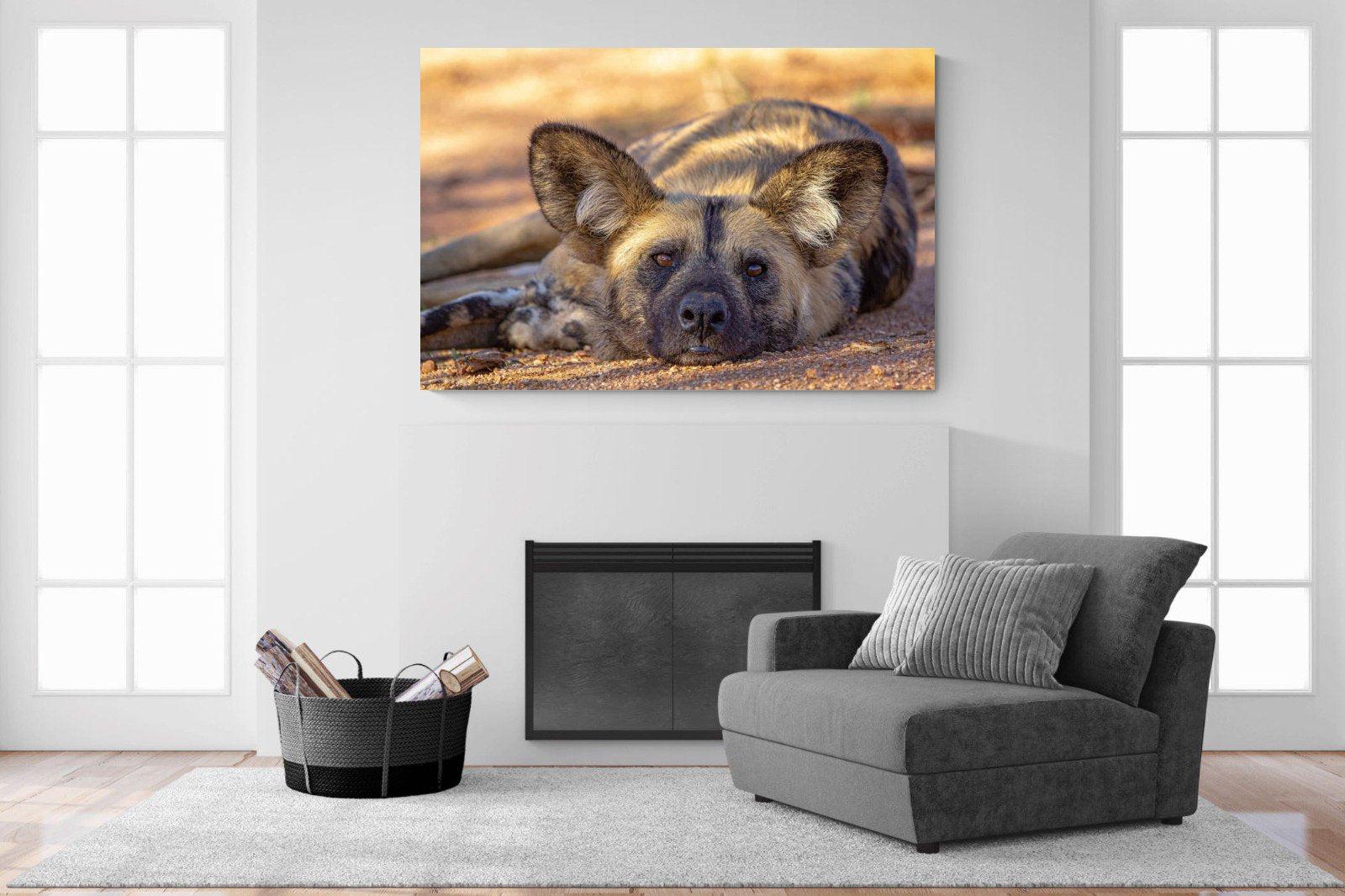 Not So Wild Dog-Wall_Art-150 x 100cm-Mounted Canvas-No Frame-Pixalot