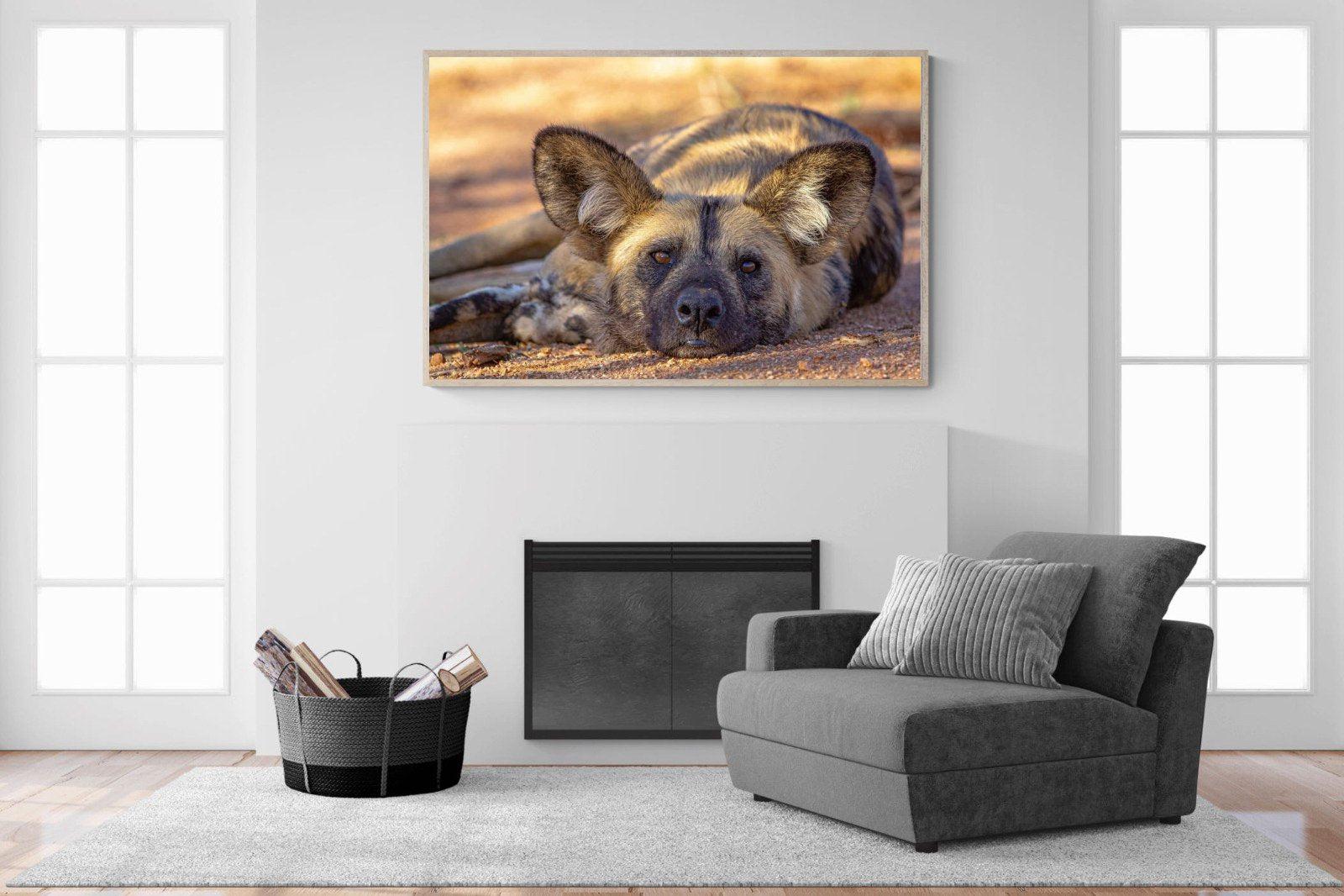 Not So Wild Dog-Wall_Art-150 x 100cm-Mounted Canvas-Wood-Pixalot