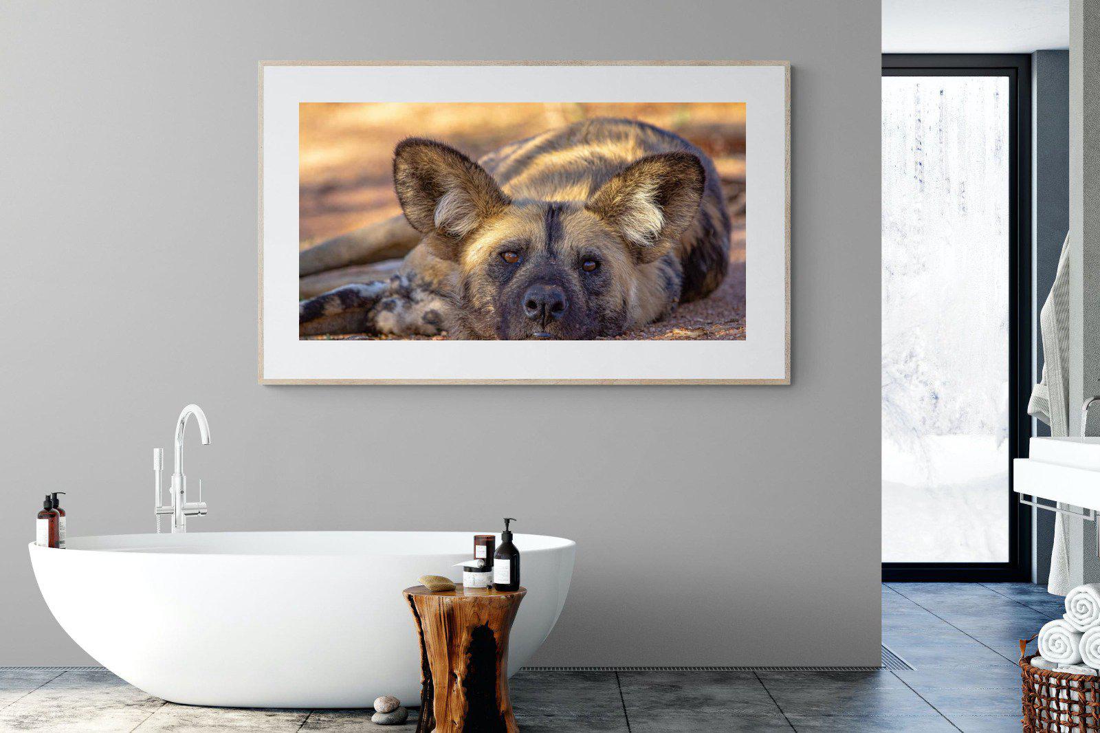 Not So Wild Dog-Wall_Art-180 x 110cm-Framed Print-Wood-Pixalot