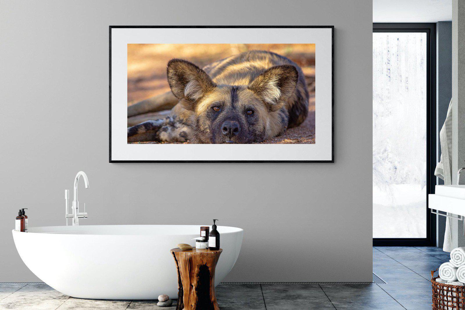 Not So Wild Dog-Wall_Art-180 x 110cm-Framed Print-Black-Pixalot