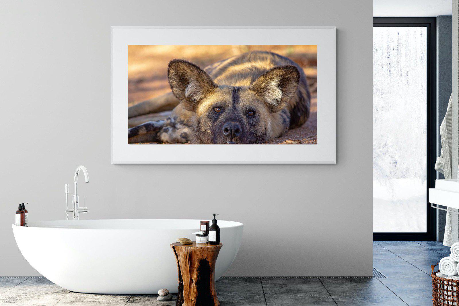 Not So Wild Dog-Wall_Art-180 x 110cm-Framed Print-White-Pixalot