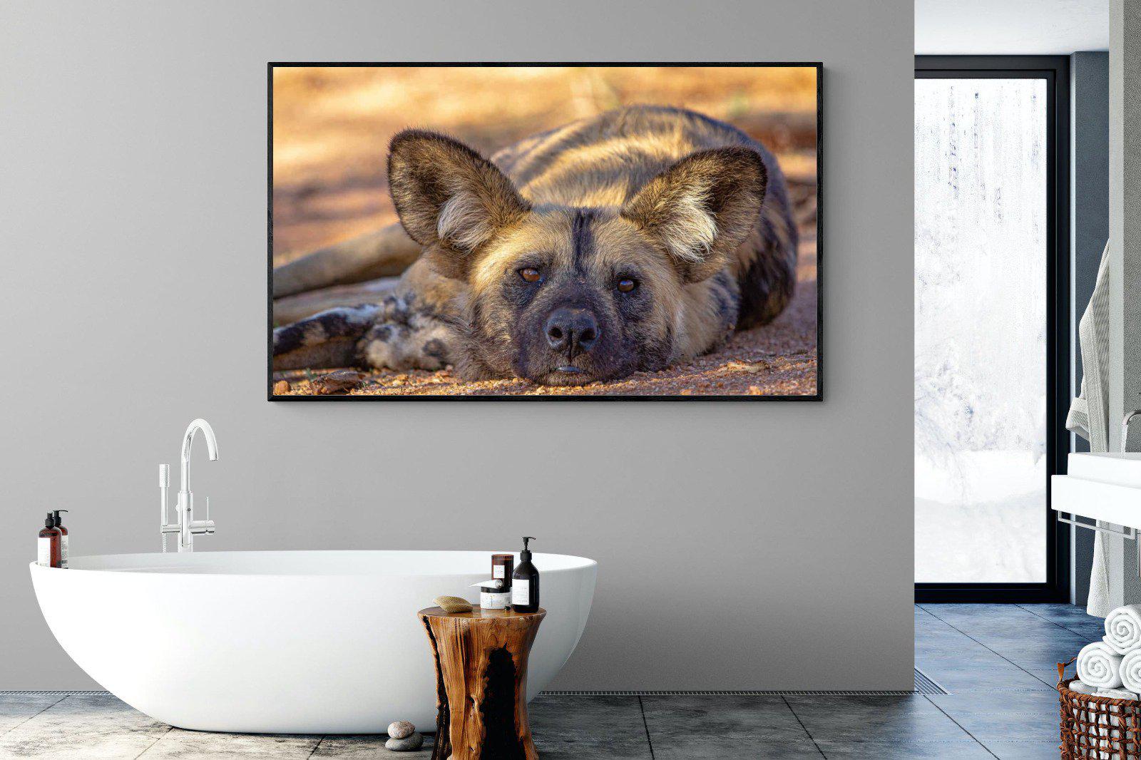 Not So Wild Dog-Wall_Art-180 x 110cm-Mounted Canvas-Black-Pixalot