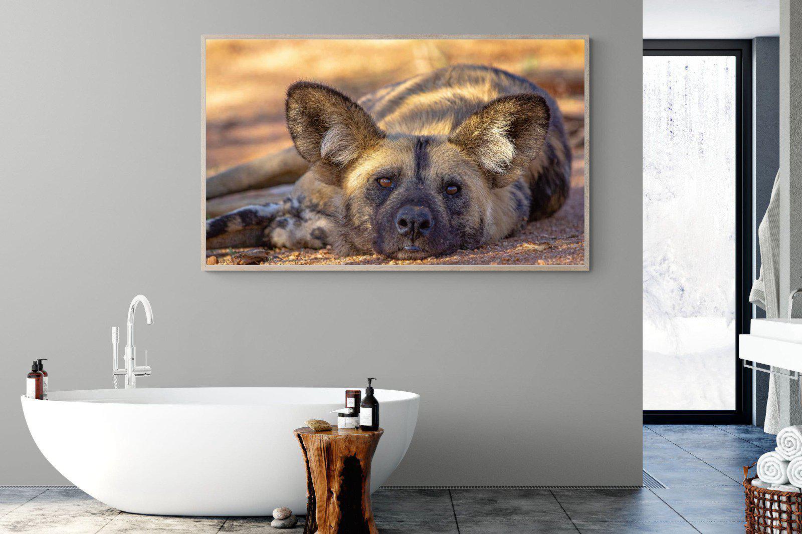 Not So Wild Dog-Wall_Art-180 x 110cm-Mounted Canvas-Wood-Pixalot