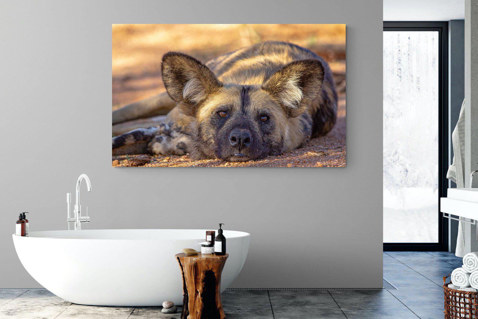 Not So Wild Dog-Wall_Art-180 x 110cm-Mounted Canvas-No Frame-Pixalot
