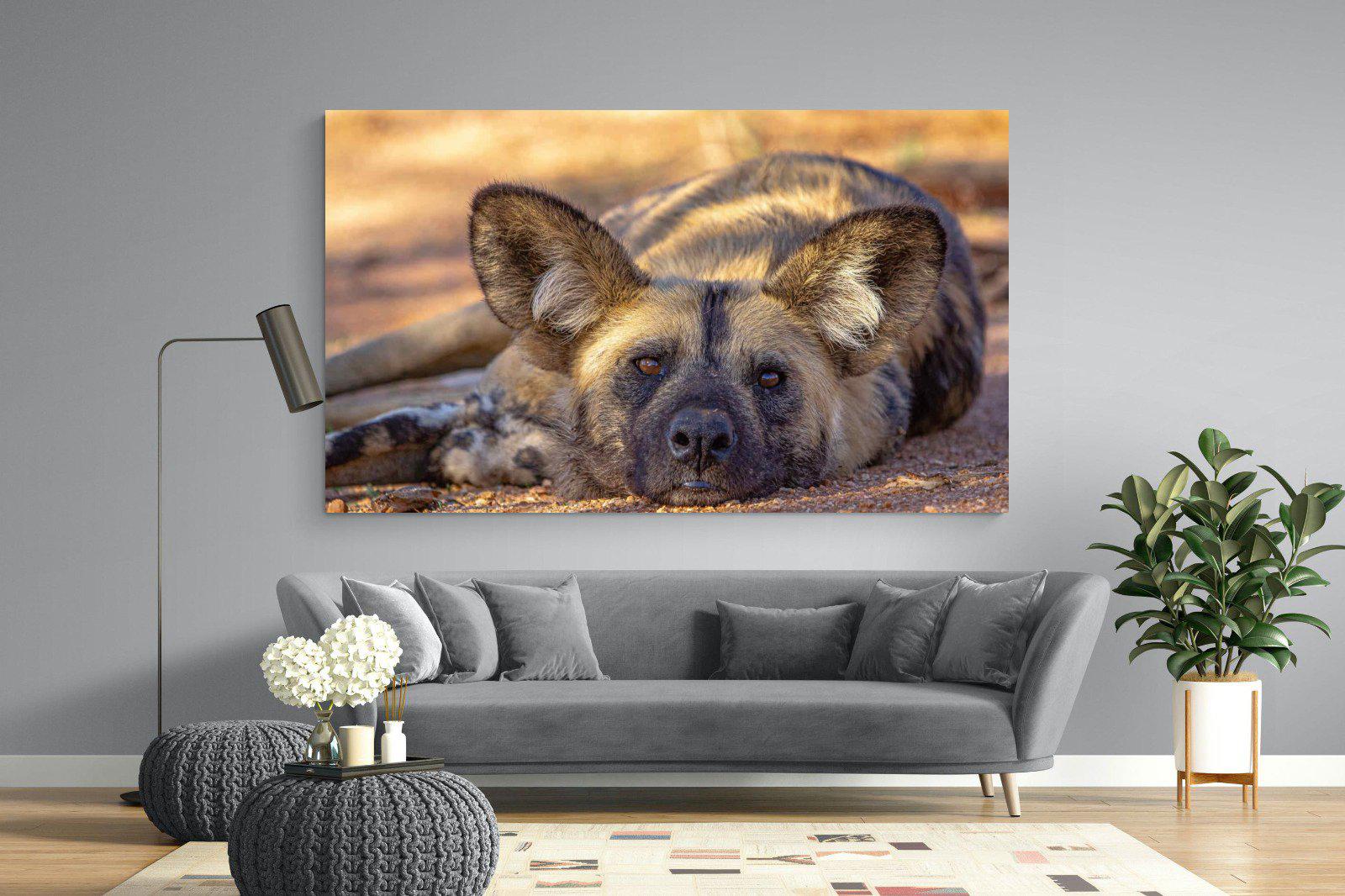 Not So Wild Dog-Wall_Art-220 x 130cm-Mounted Canvas-No Frame-Pixalot