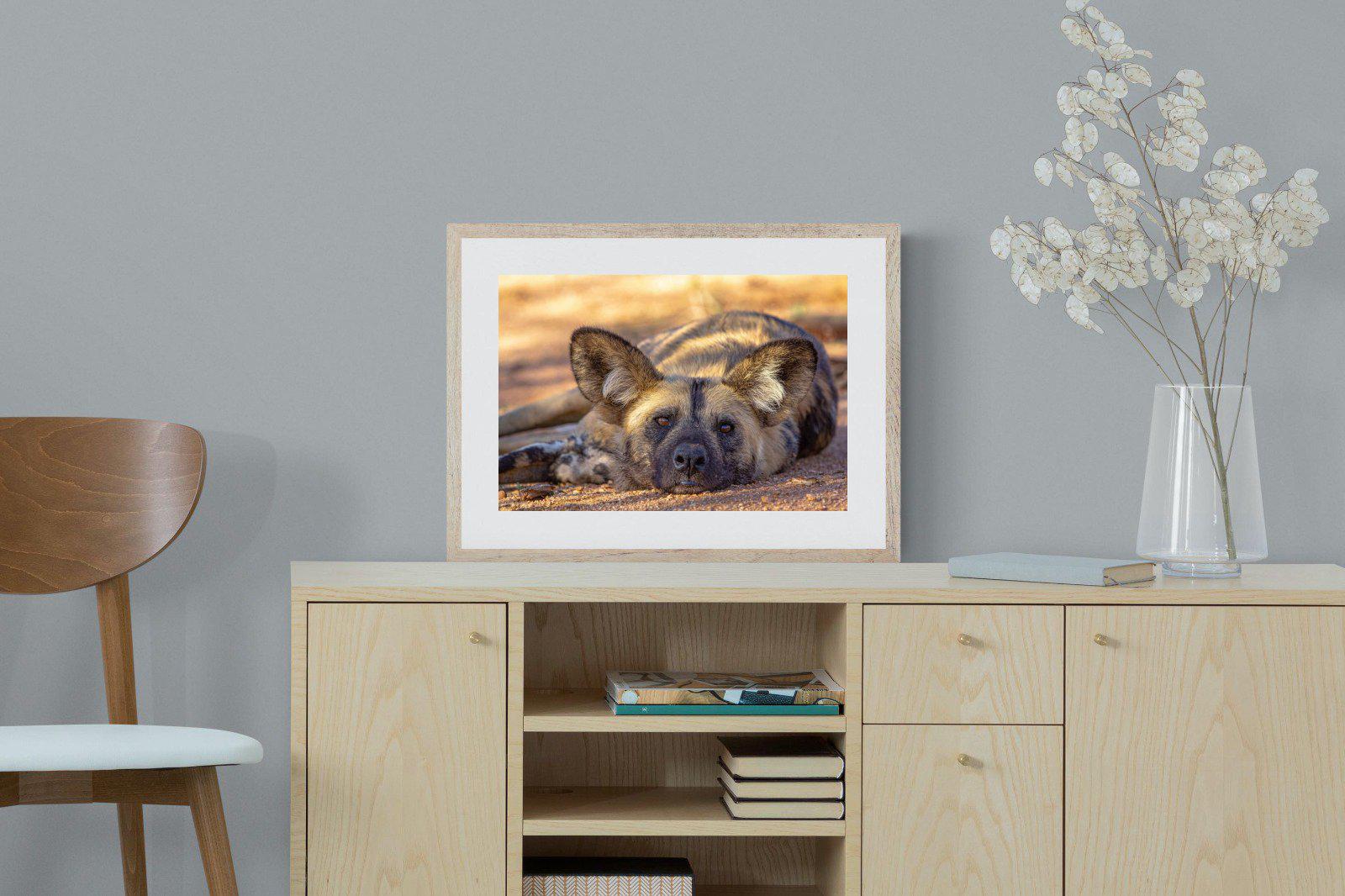Not So Wild Dog-Wall_Art-60 x 45cm-Framed Print-Wood-Pixalot