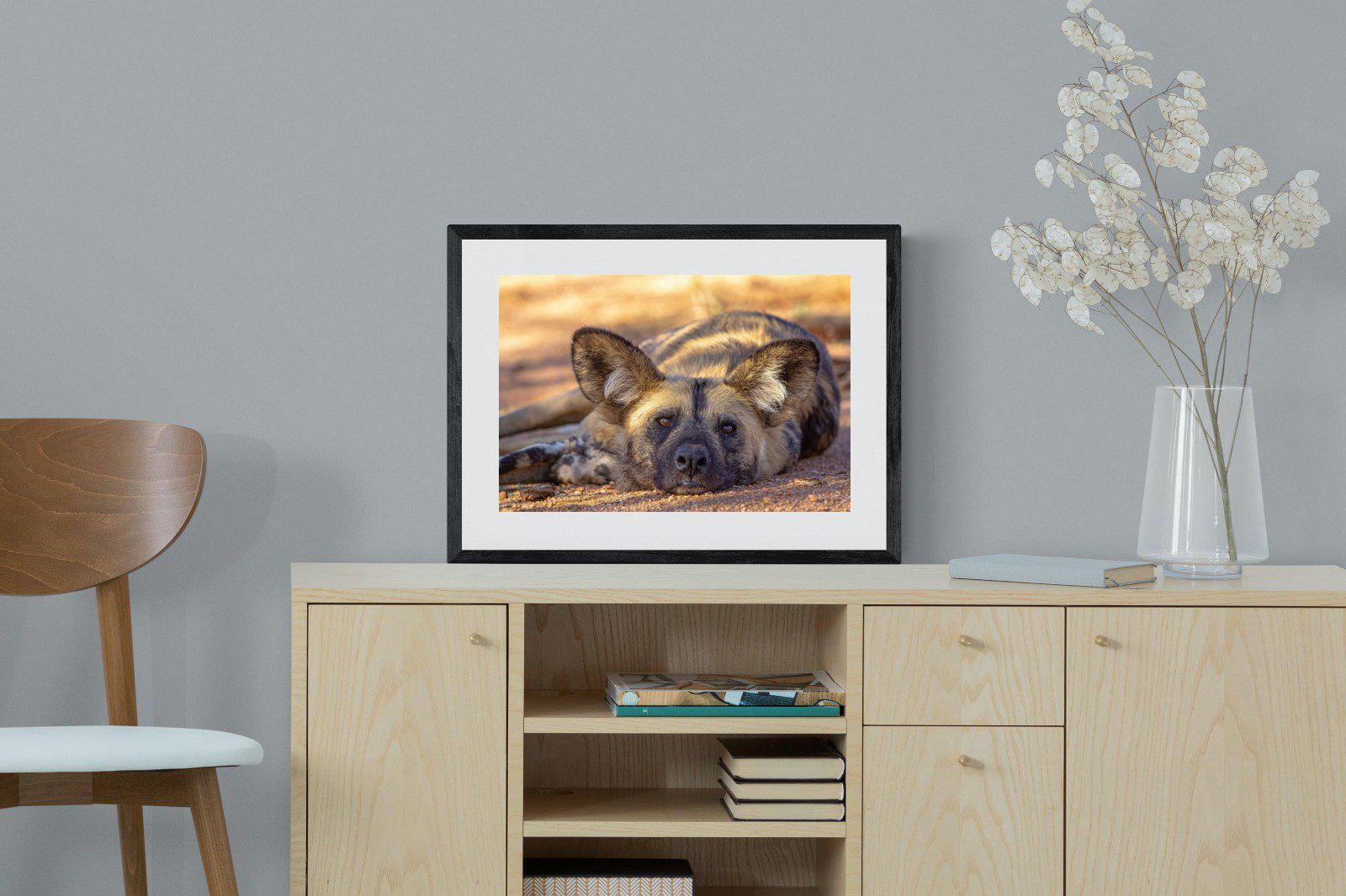 Not So Wild Dog-Wall_Art-60 x 45cm-Framed Print-Black-Pixalot