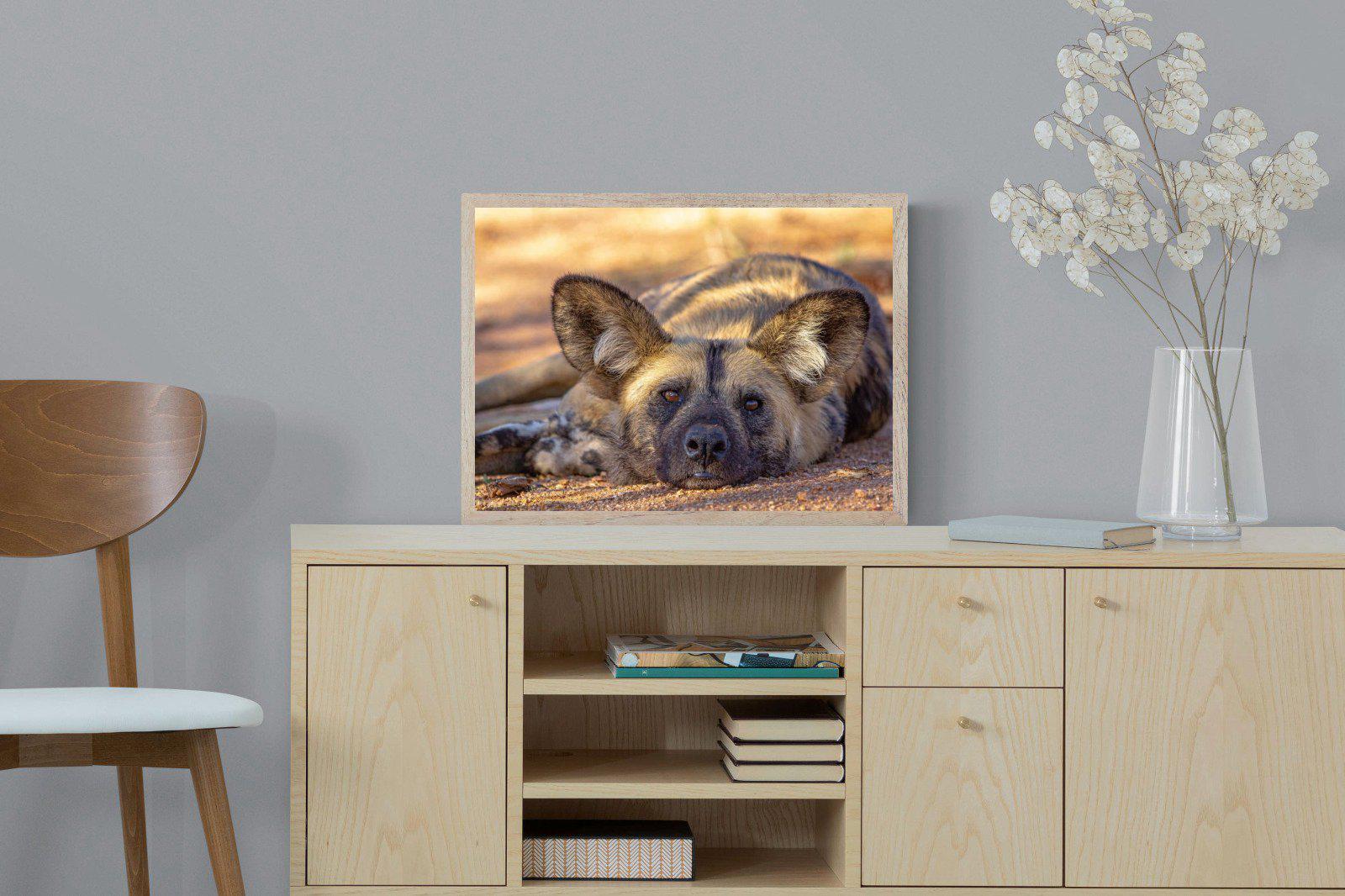 Not So Wild Dog-Wall_Art-60 x 45cm-Mounted Canvas-Wood-Pixalot
