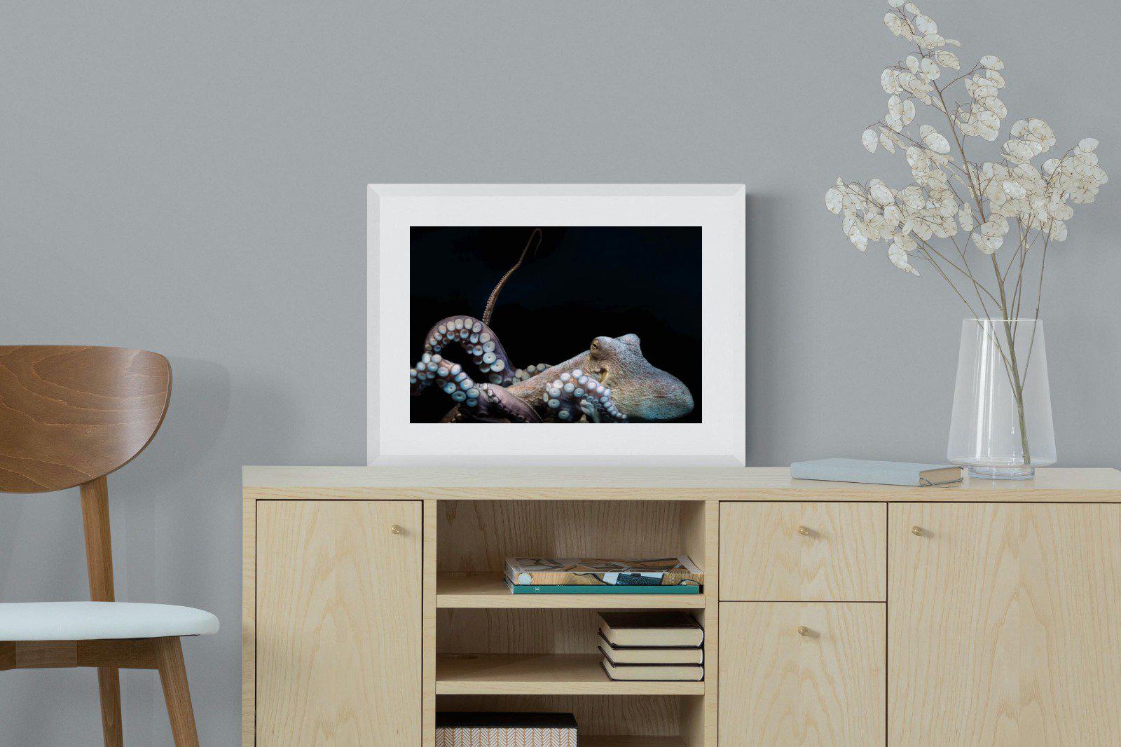 Octopus-Wall_Art-60 x 45cm-Framed Print-White-Pixalot