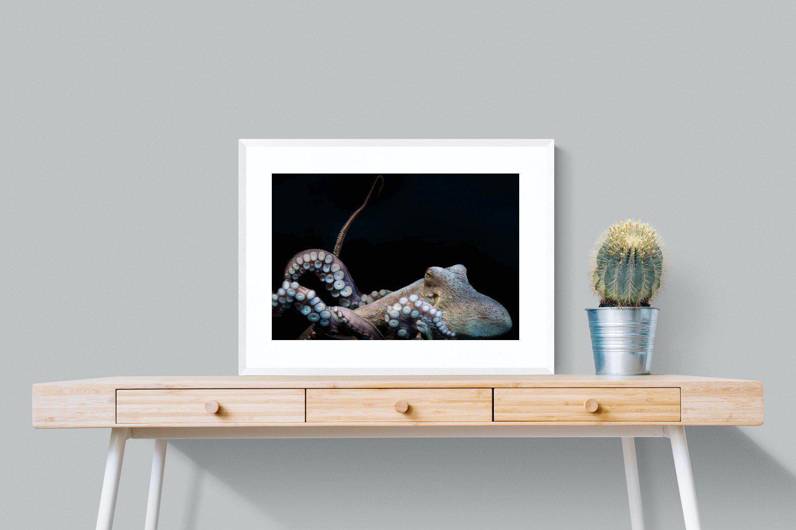 Octopus-Wall_Art-80 x 60cm-Framed Print-White-Pixalot