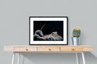 Octopus-Wall_Art-80 x 60cm-Framed Print-Black-Pixalot