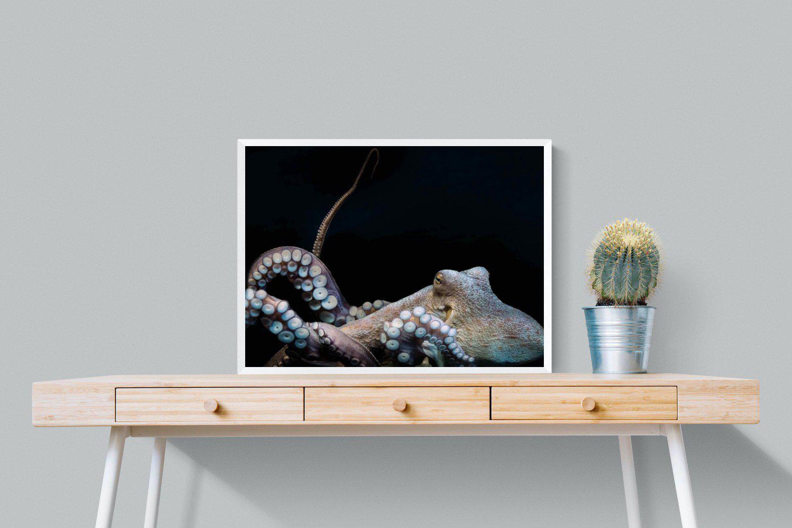 Octopus-Wall_Art-80 x 60cm-Mounted Canvas-White-Pixalot