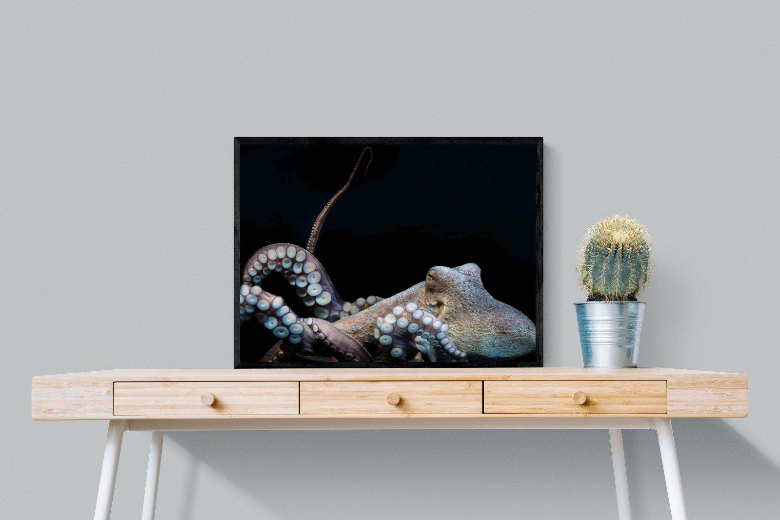 Octopus-Wall_Art-80 x 60cm-Mounted Canvas-Black-Pixalot